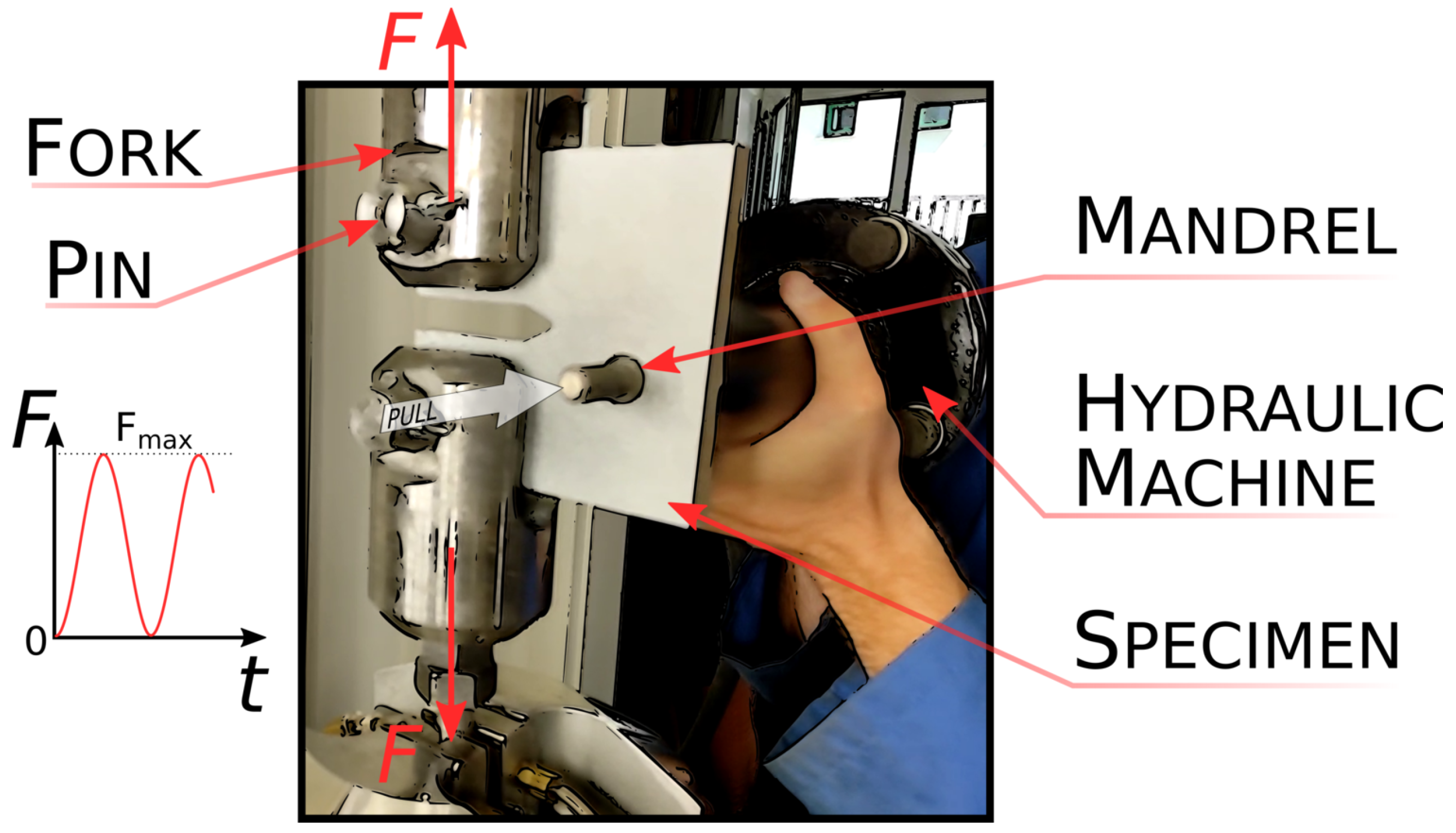 Metals 15 00921 g008