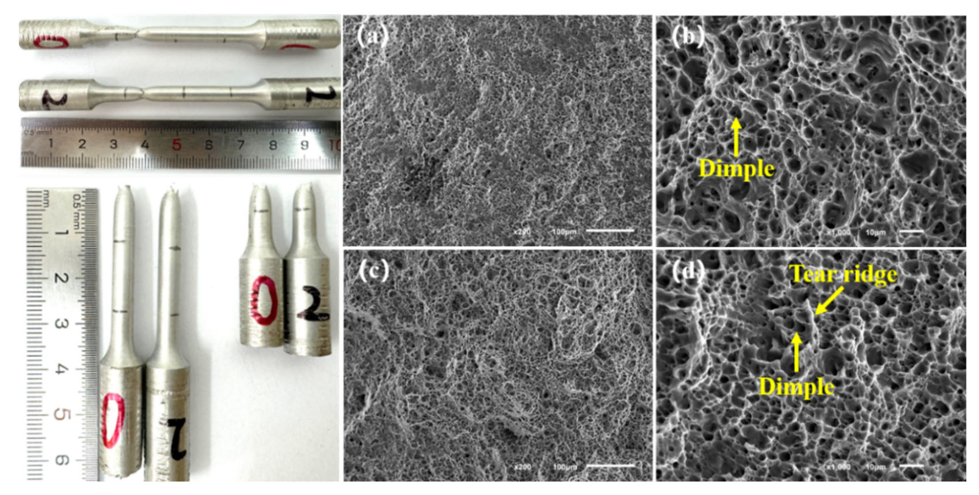 Metals 15 00923 g008