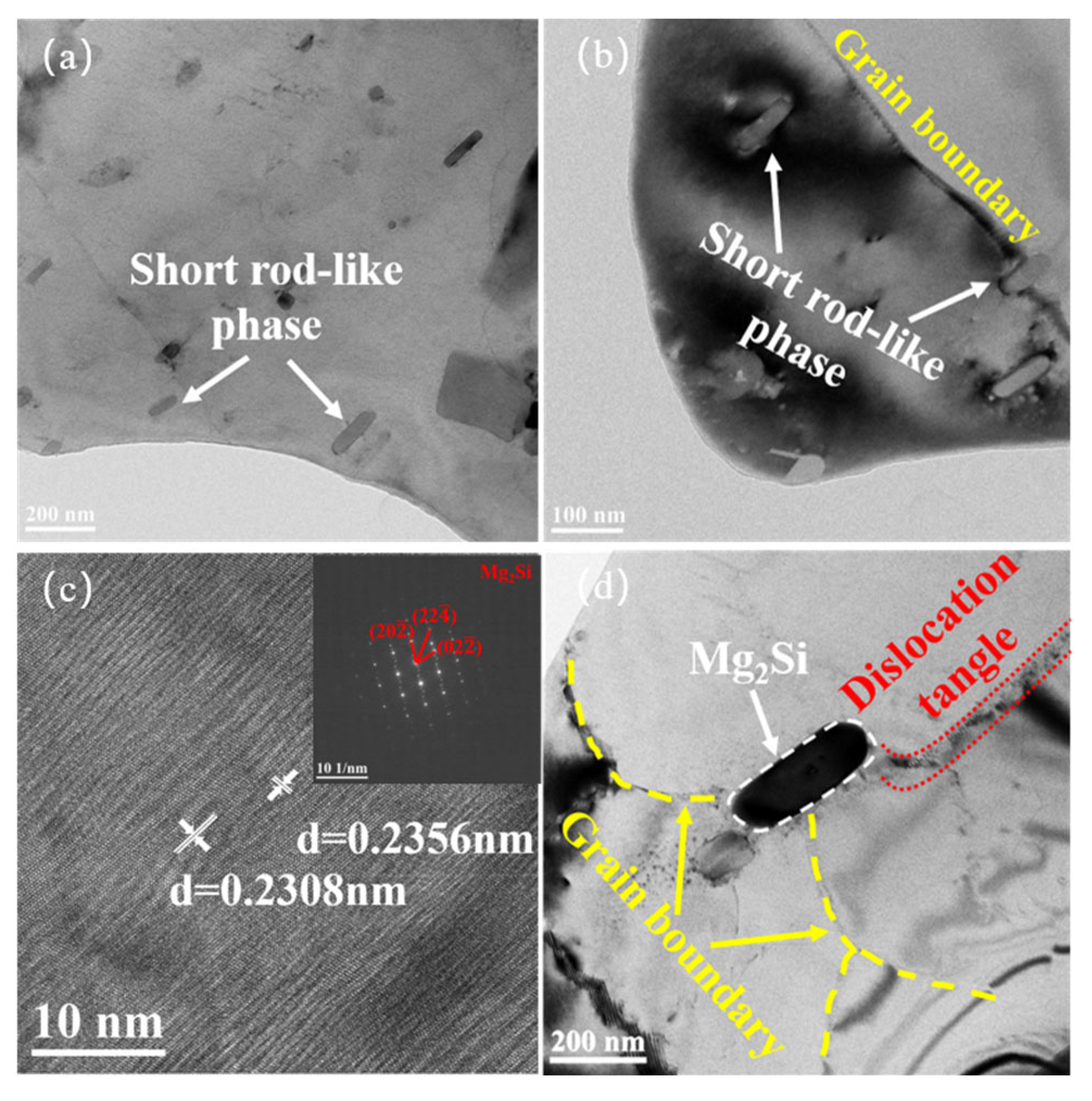 Metals 15 00923 g013