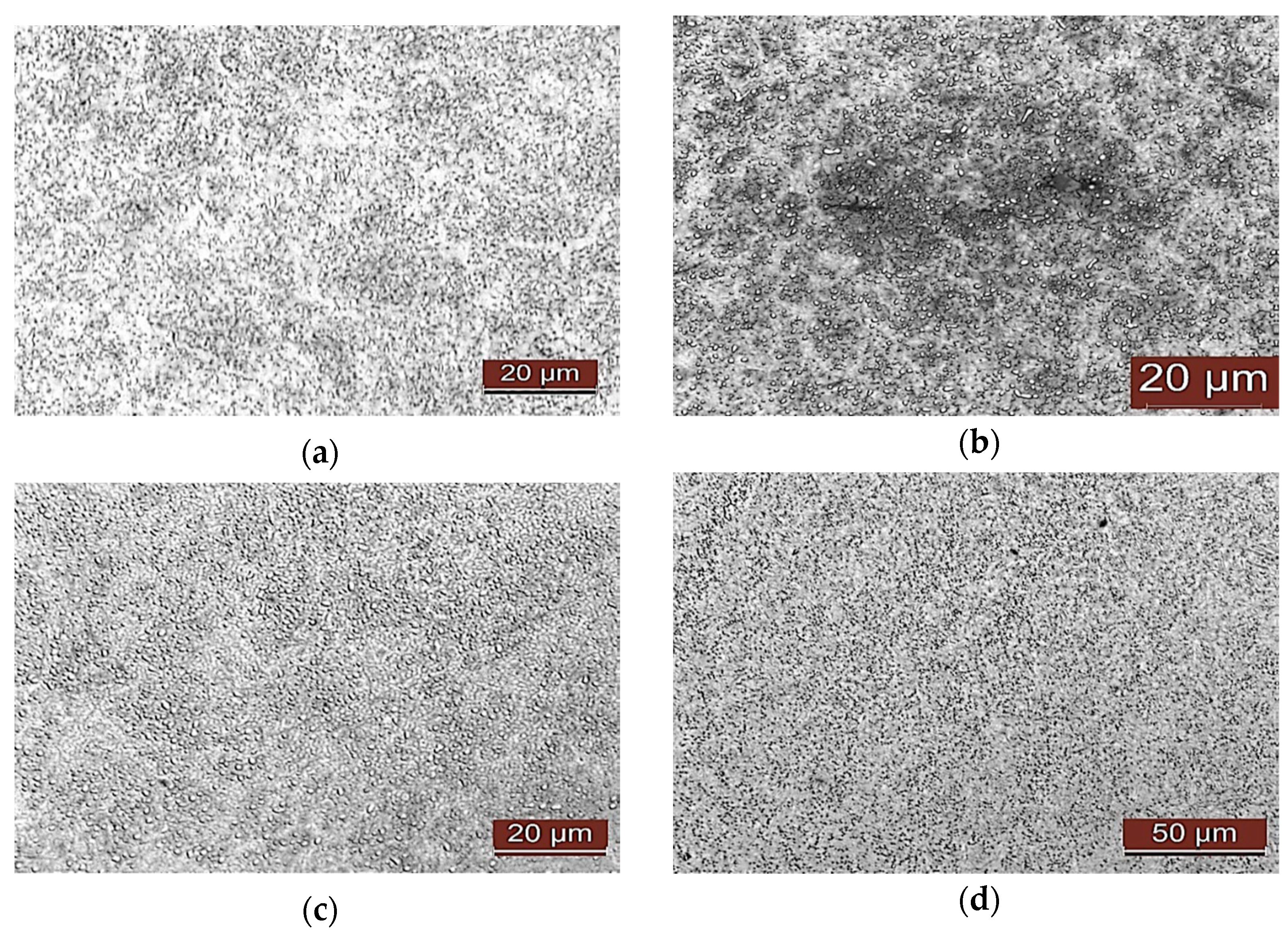 Metals 15 00931 g003