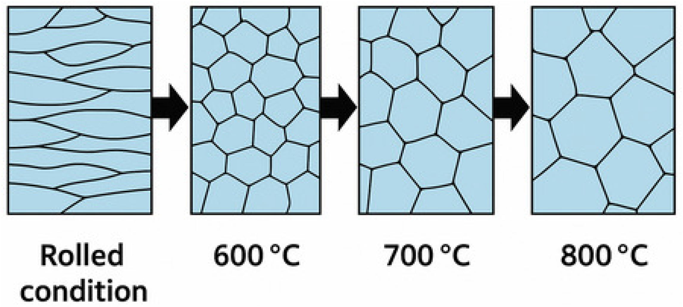 Metals 15 00932 g003