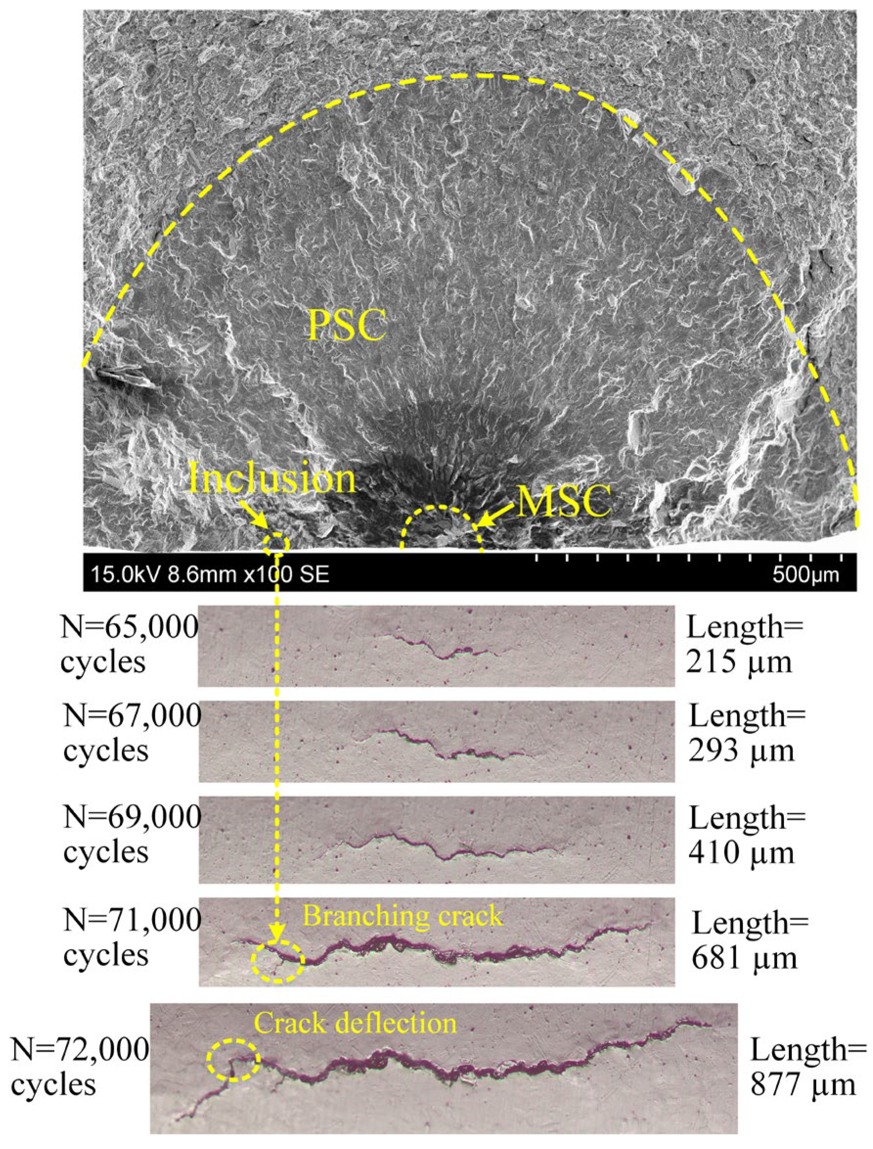 Metals 15 00933 g007 Metals 15 00933 g007