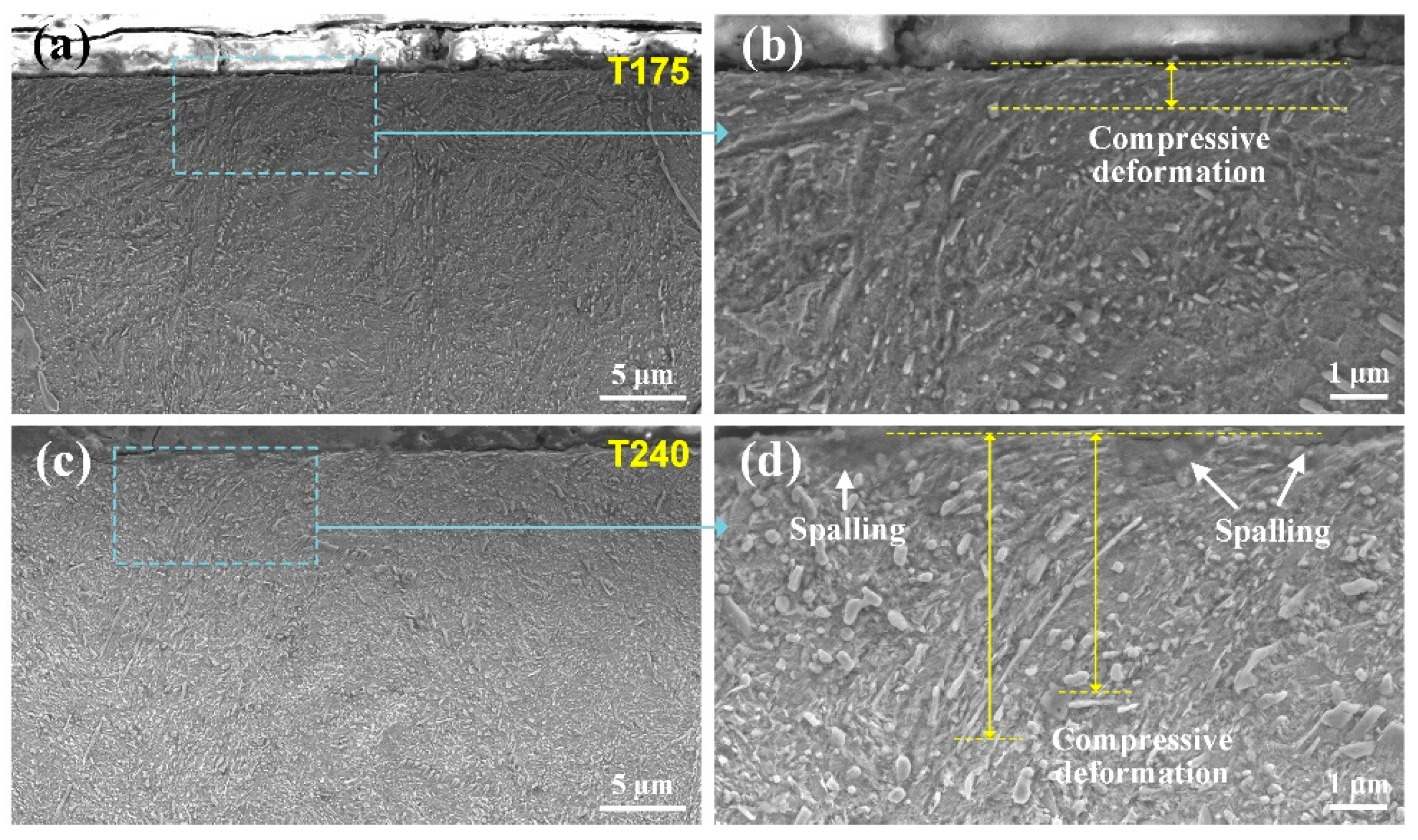 Metals 15 00934 g010