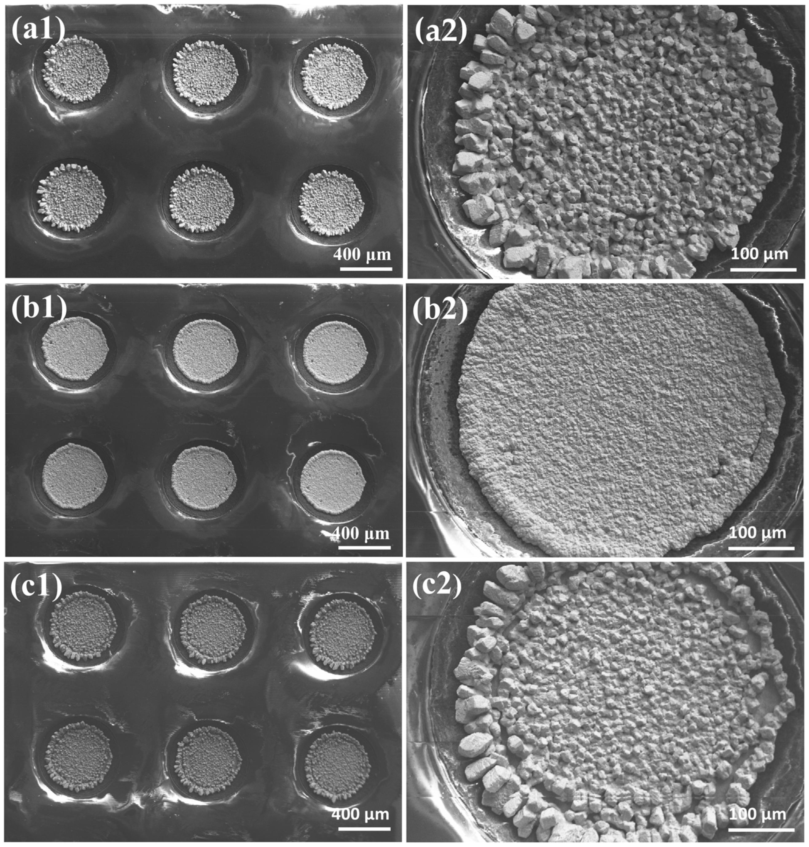 Metals 15 00936 g003a Metals 15 00936 g003a