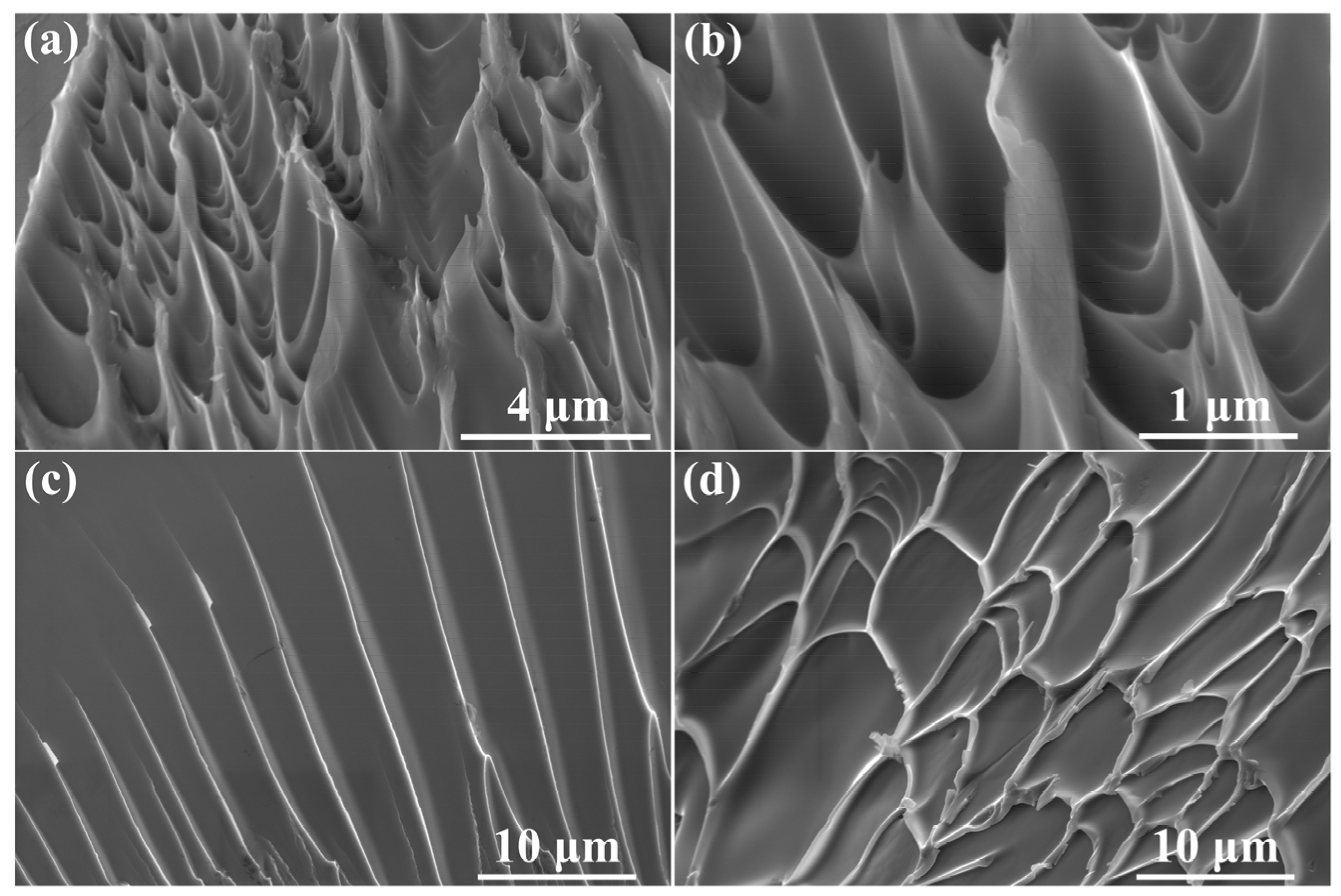 Metals 15 00943 g005 Metals 15 00943 g005