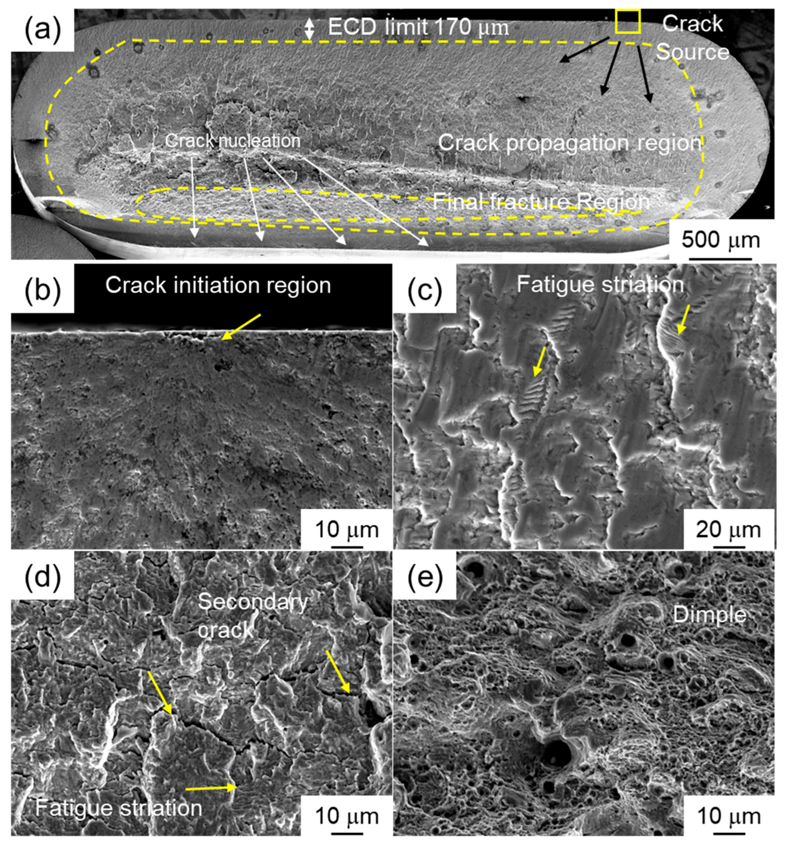 Metals 15 00944 g010