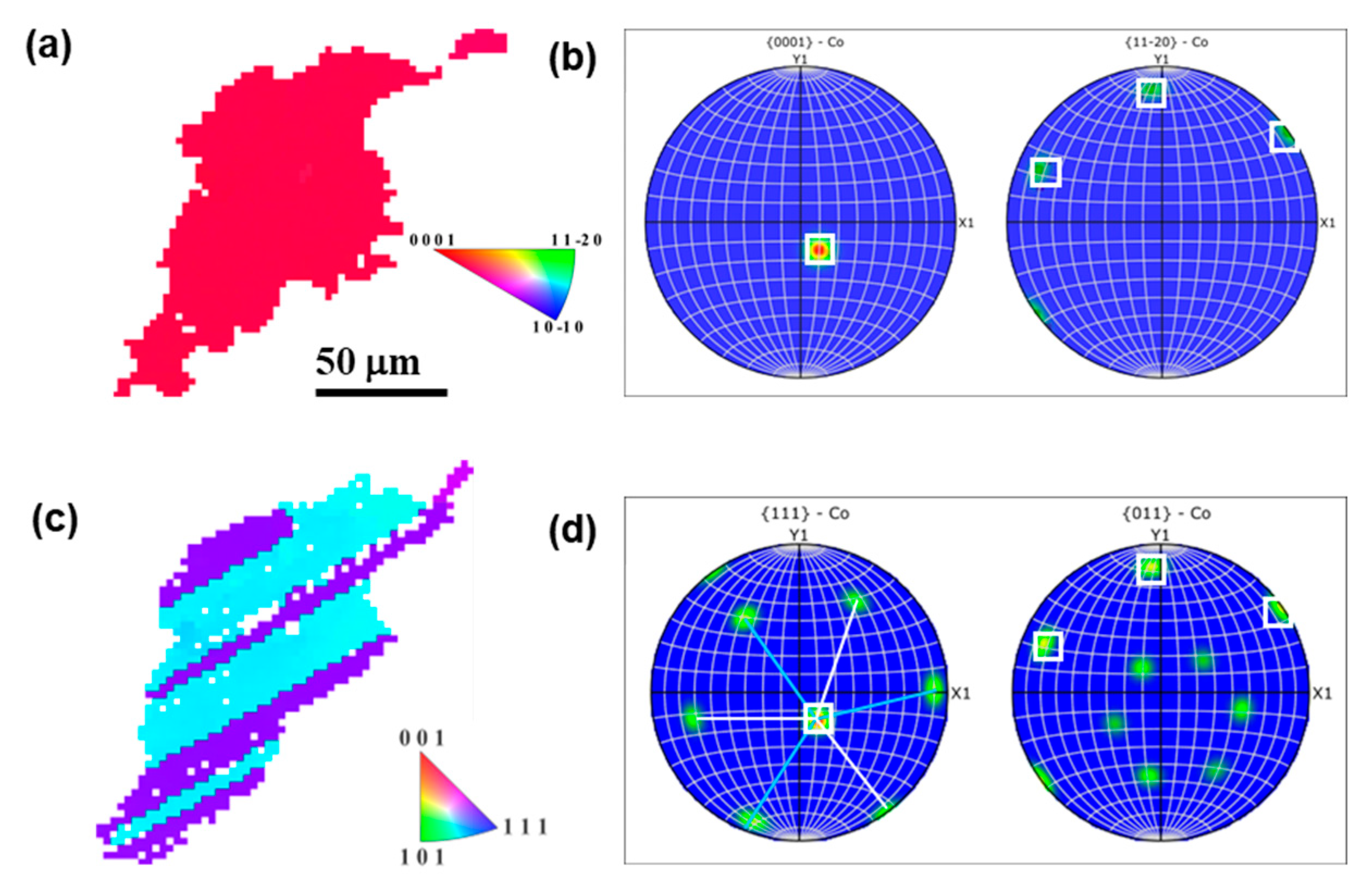 Metals 15 00947 g003