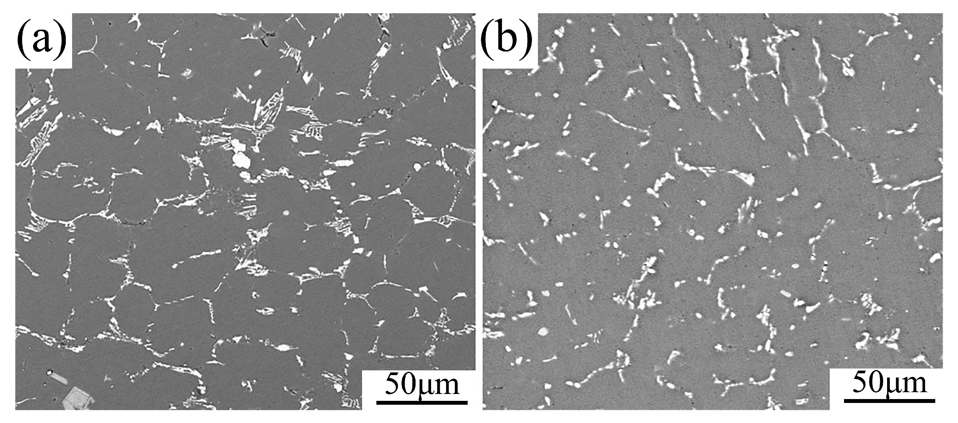 Metals 15 00954 g004