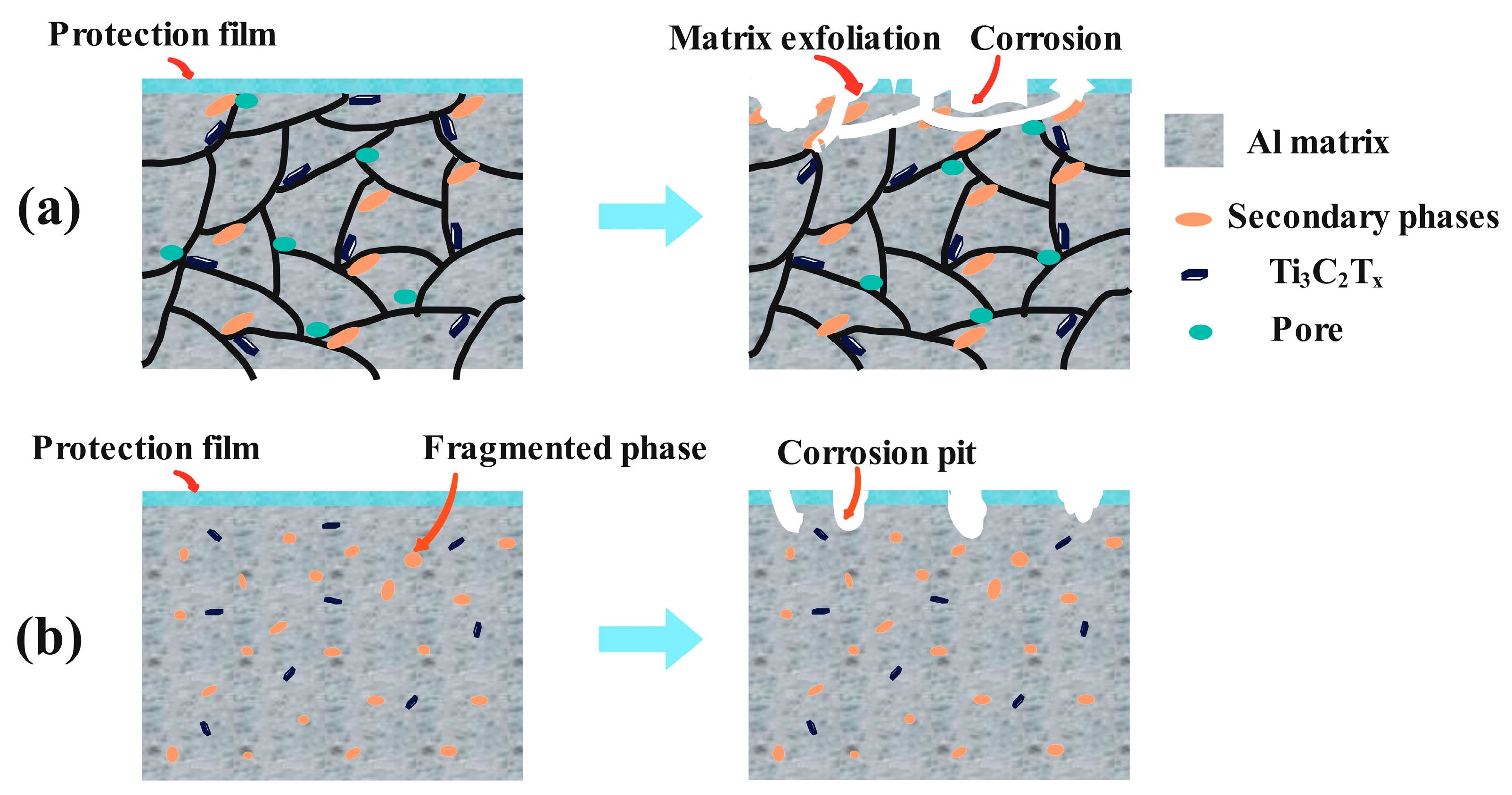 Metals 15 00954 g013