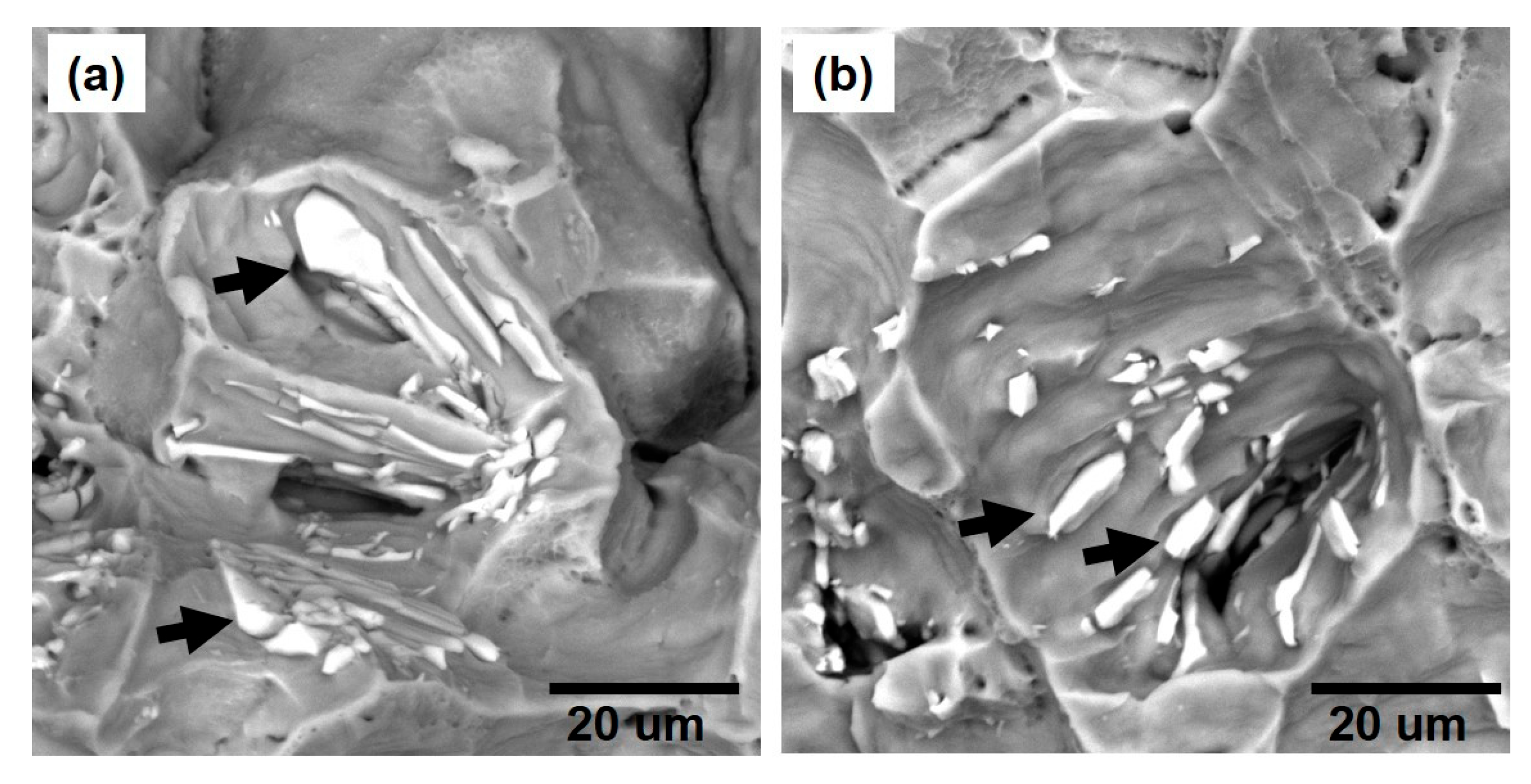 Metals 15 00958 g007 Metals 15 00958 g007