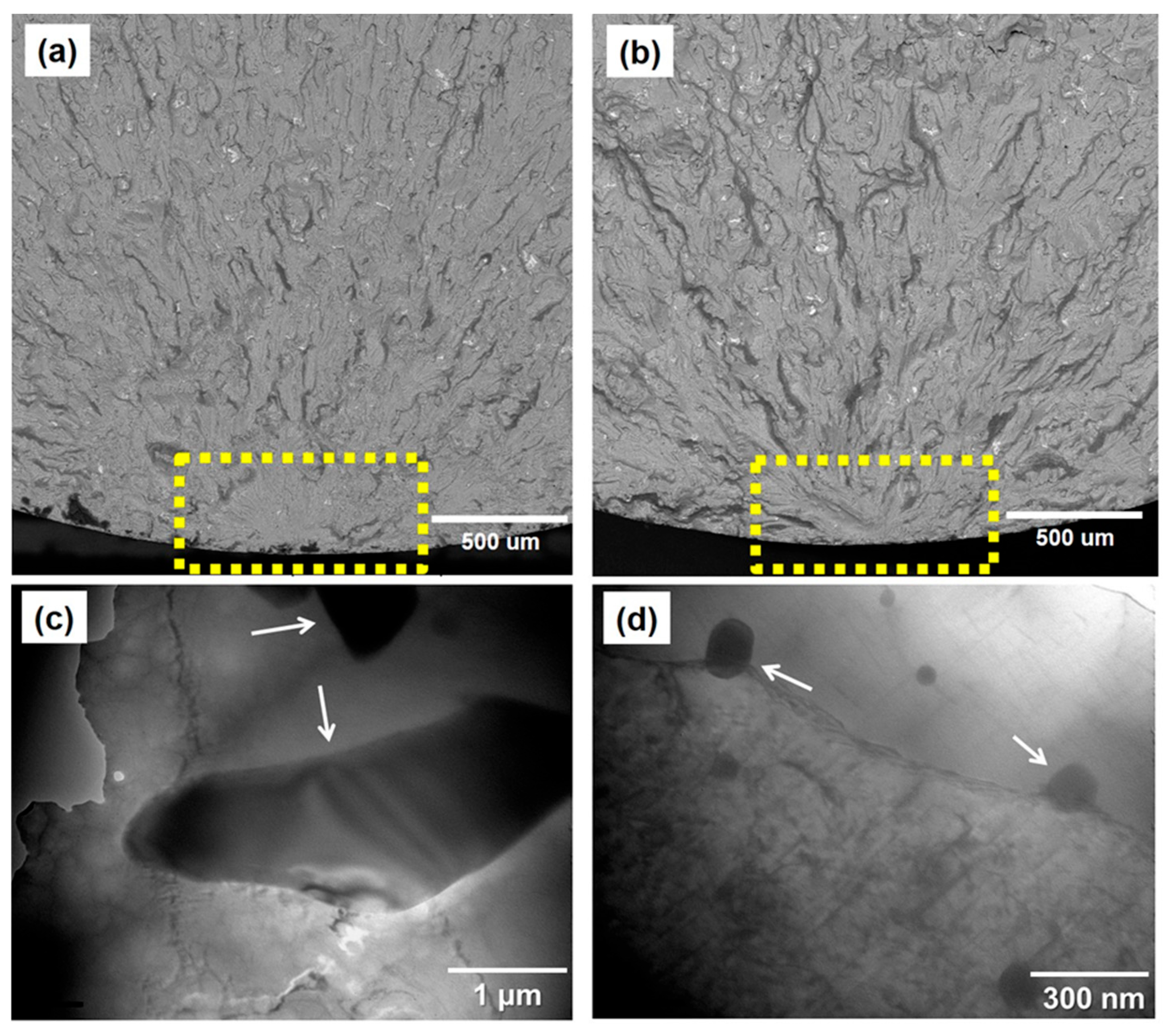 Metals 15 00958 g011 Metals 15 00958 g011