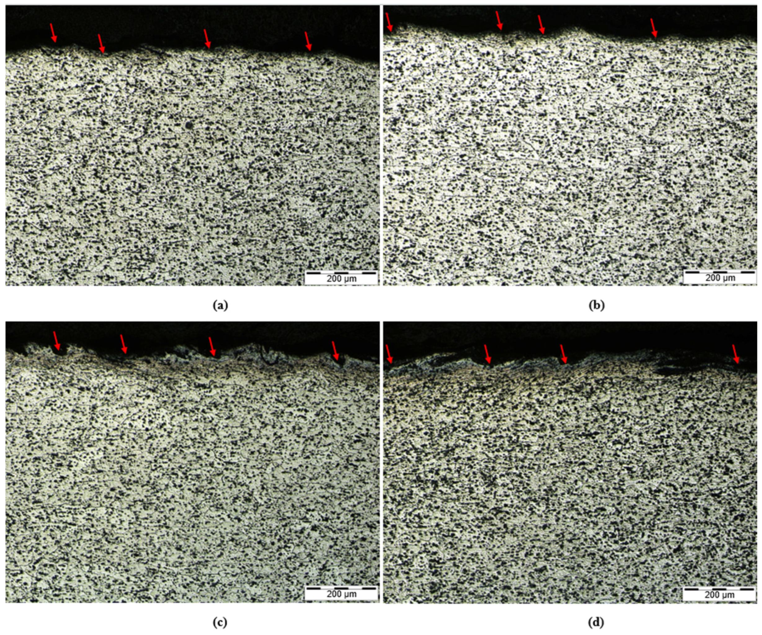 Metals 15 00964 g005