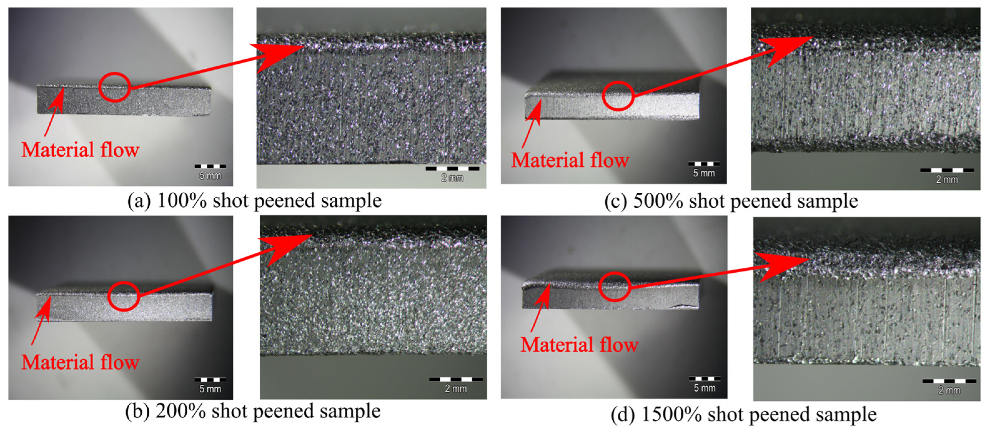 Metals 15 00964 g011