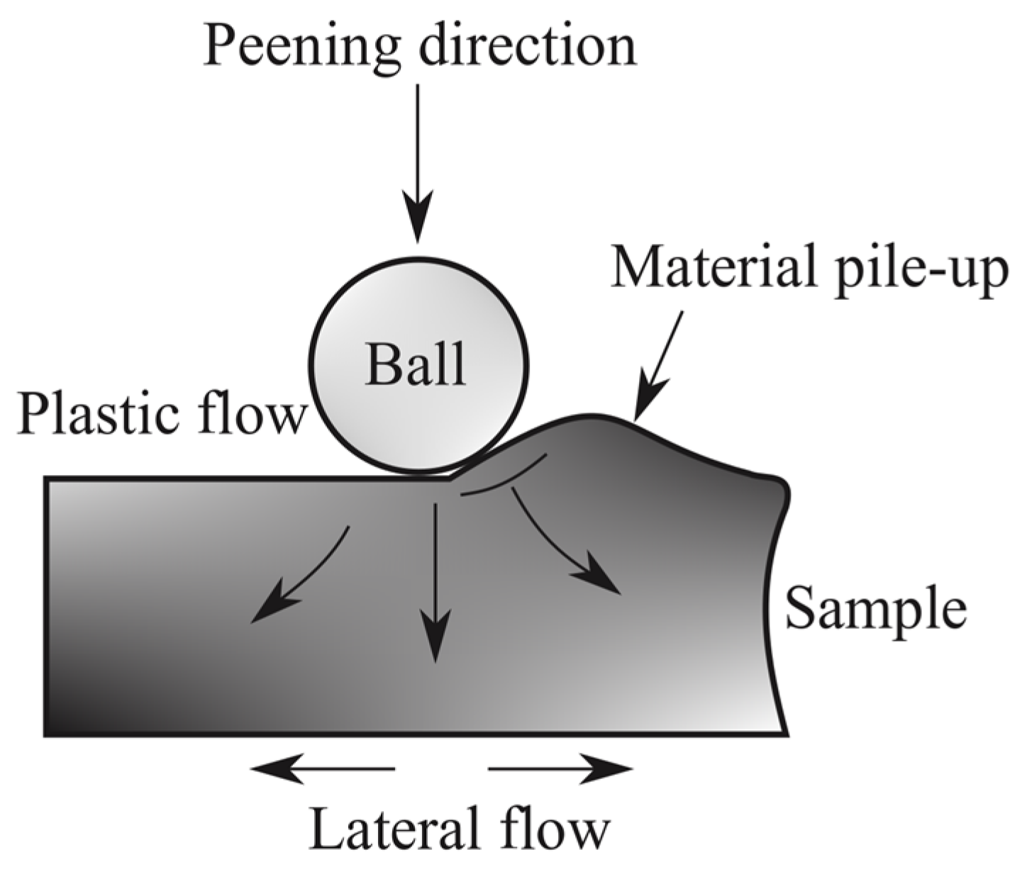 Metals 15 00964 g012
