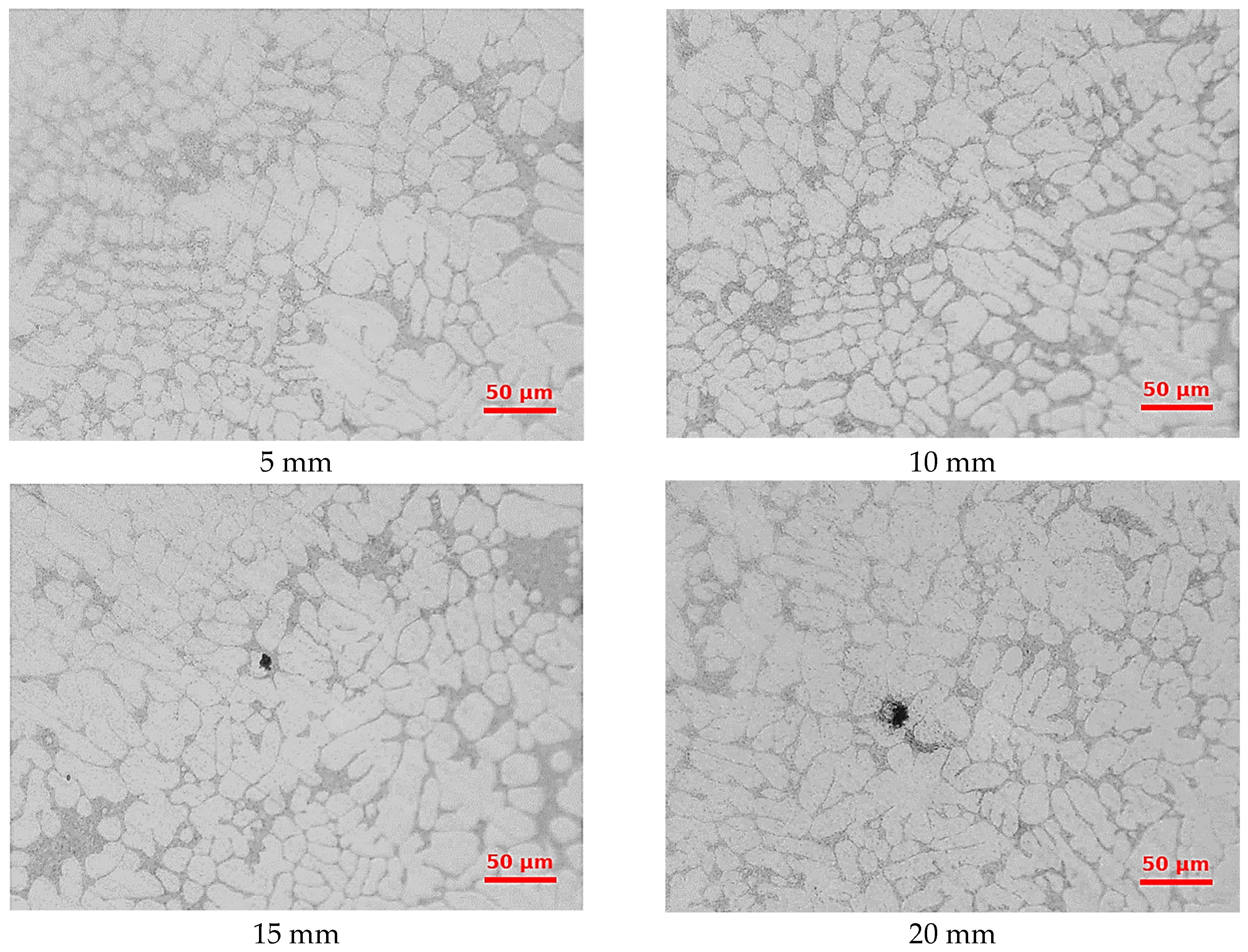 Metals 15 00969 g010