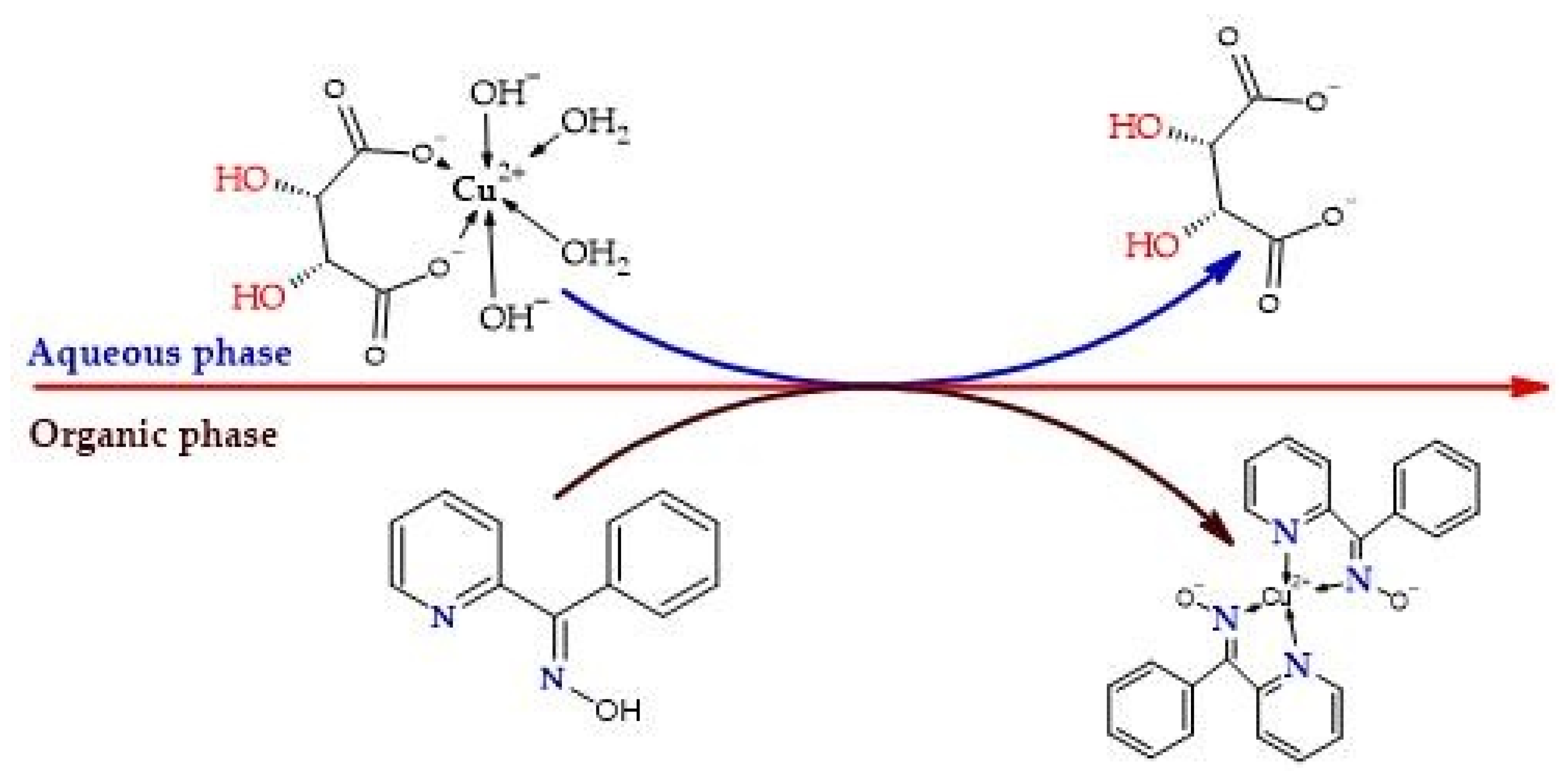 Metals 15 00977 g007