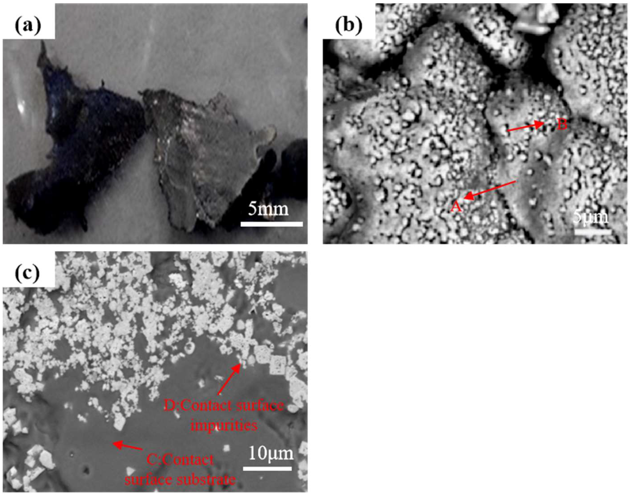 Metals 15 00982 g002