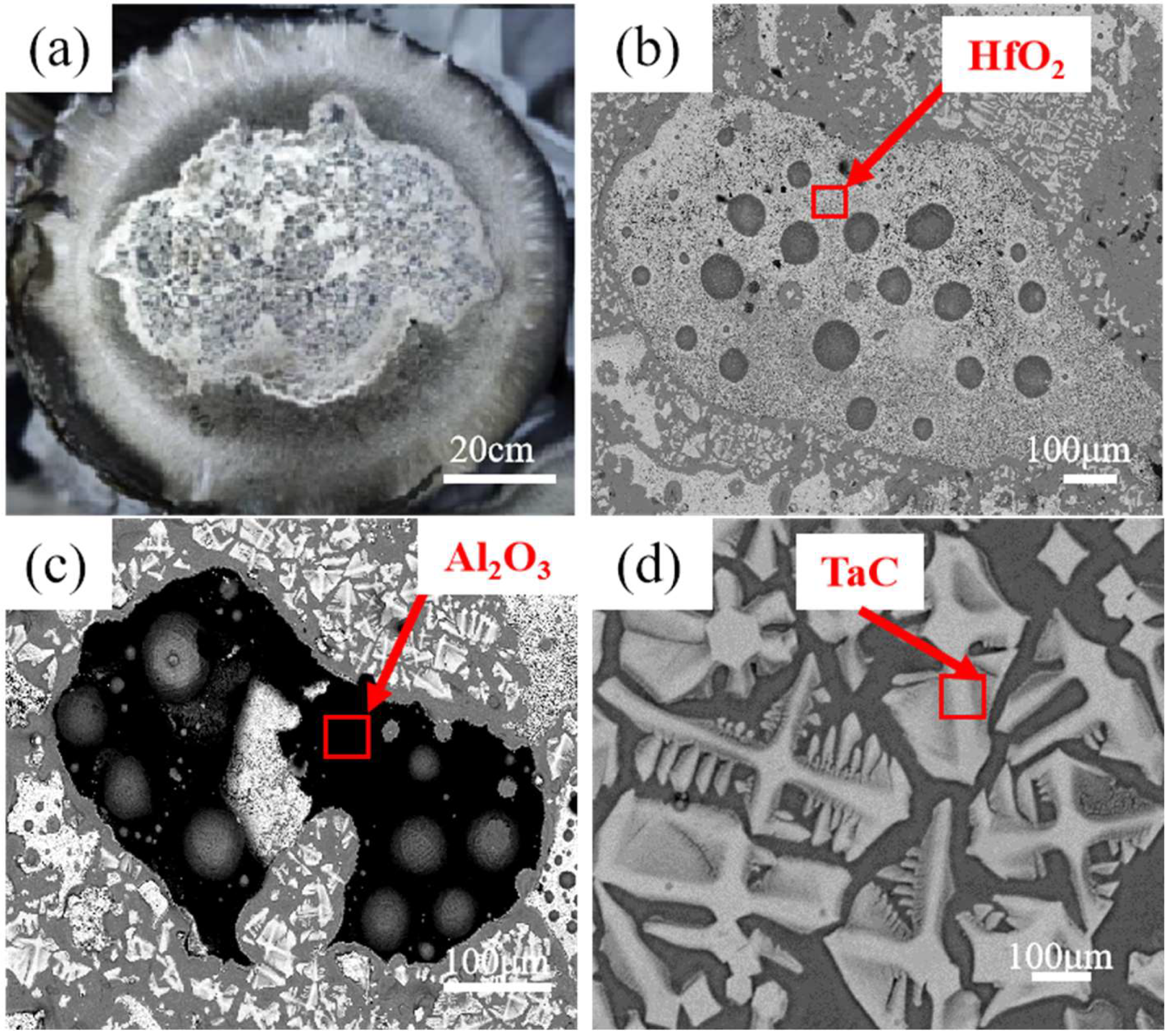 Metals 15 00982 g003