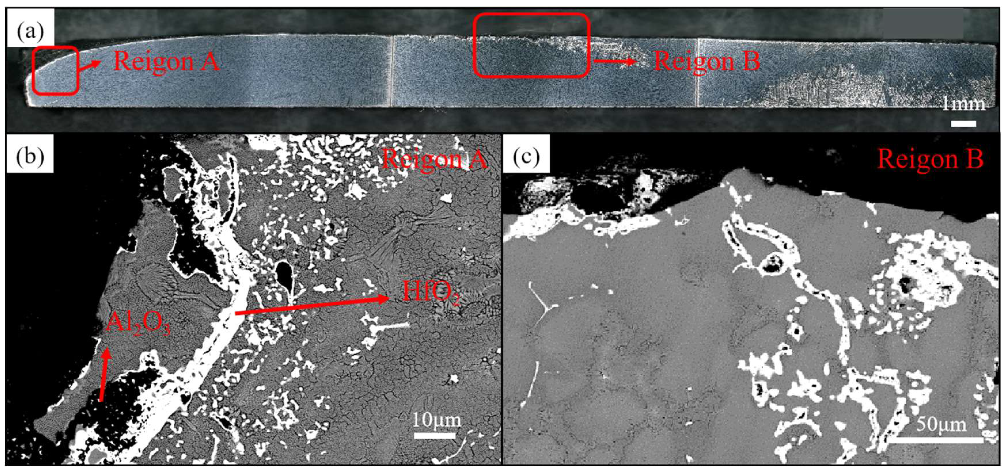 Metals 15 00982 g005