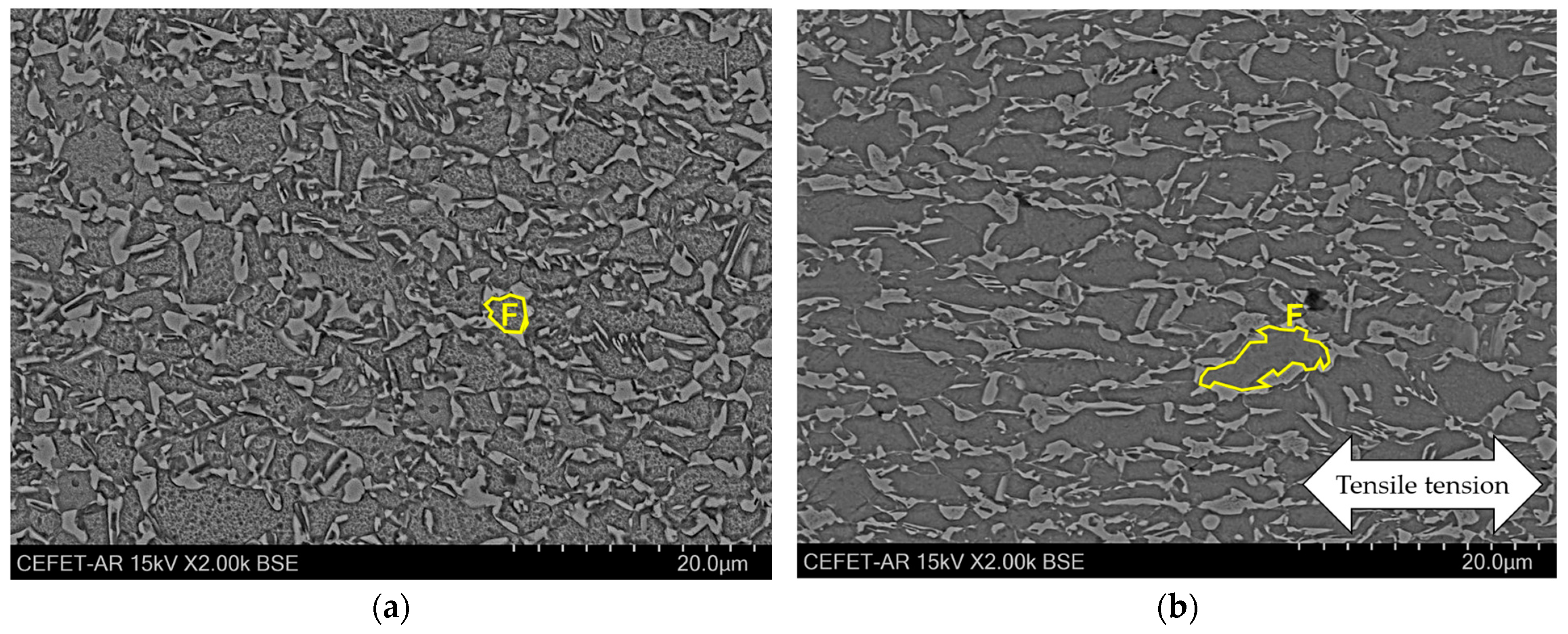 Metals 15 00991 g009