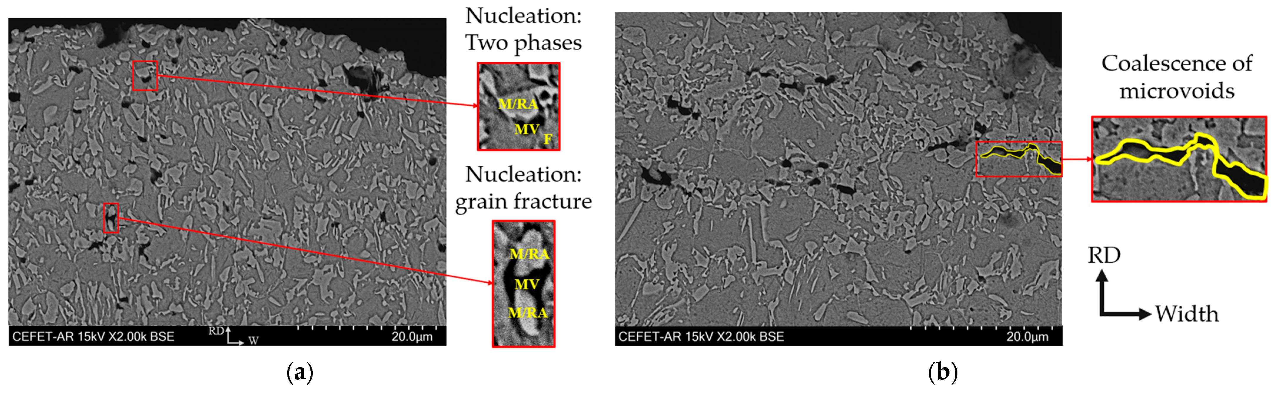Metals 15 00991 g010