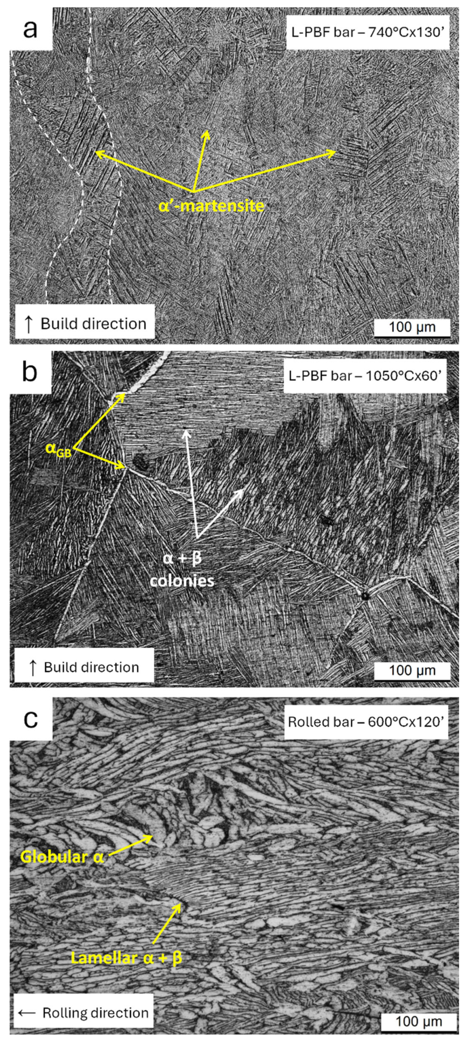 Metals 15 00994 g005