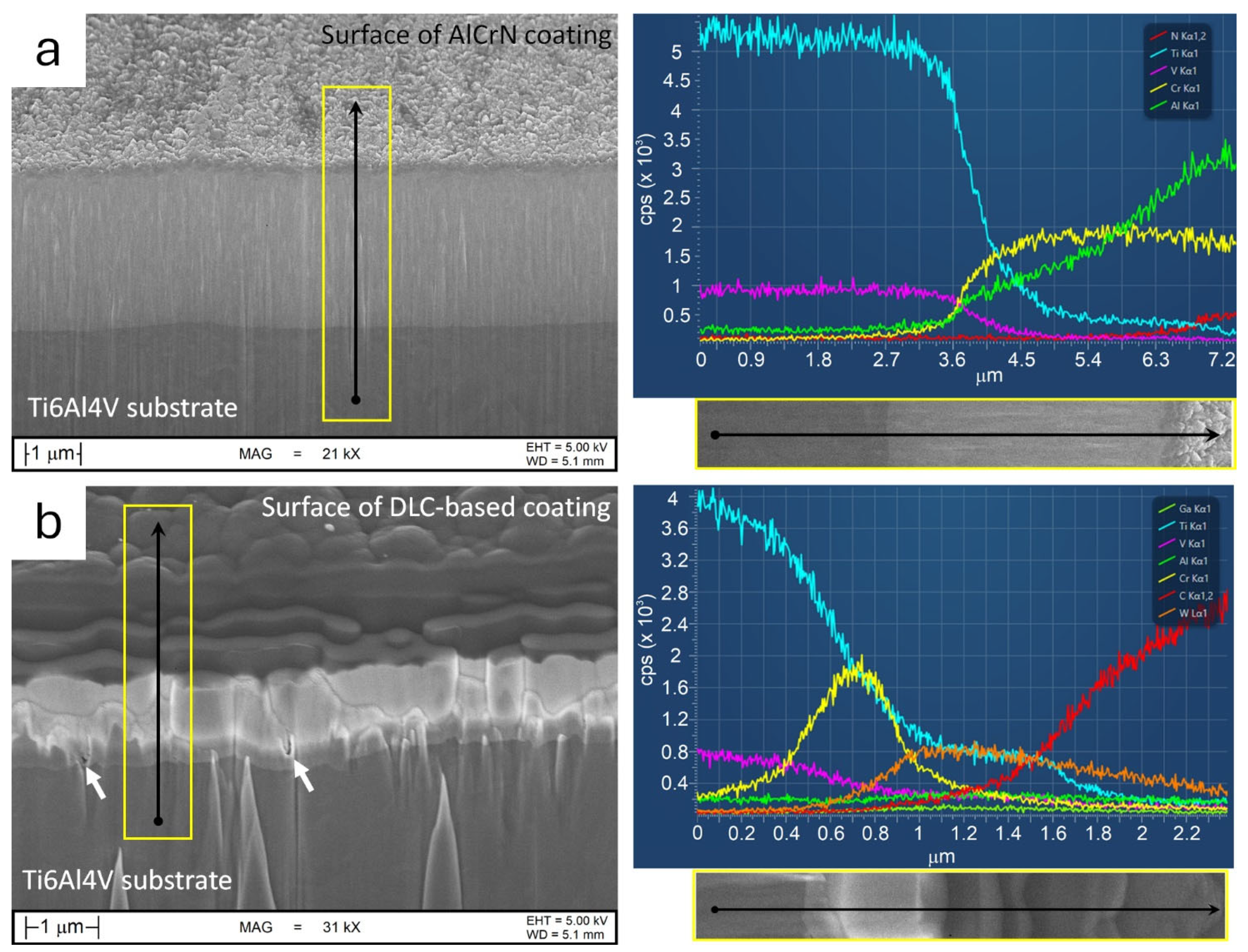 Metals 15 00994 g007