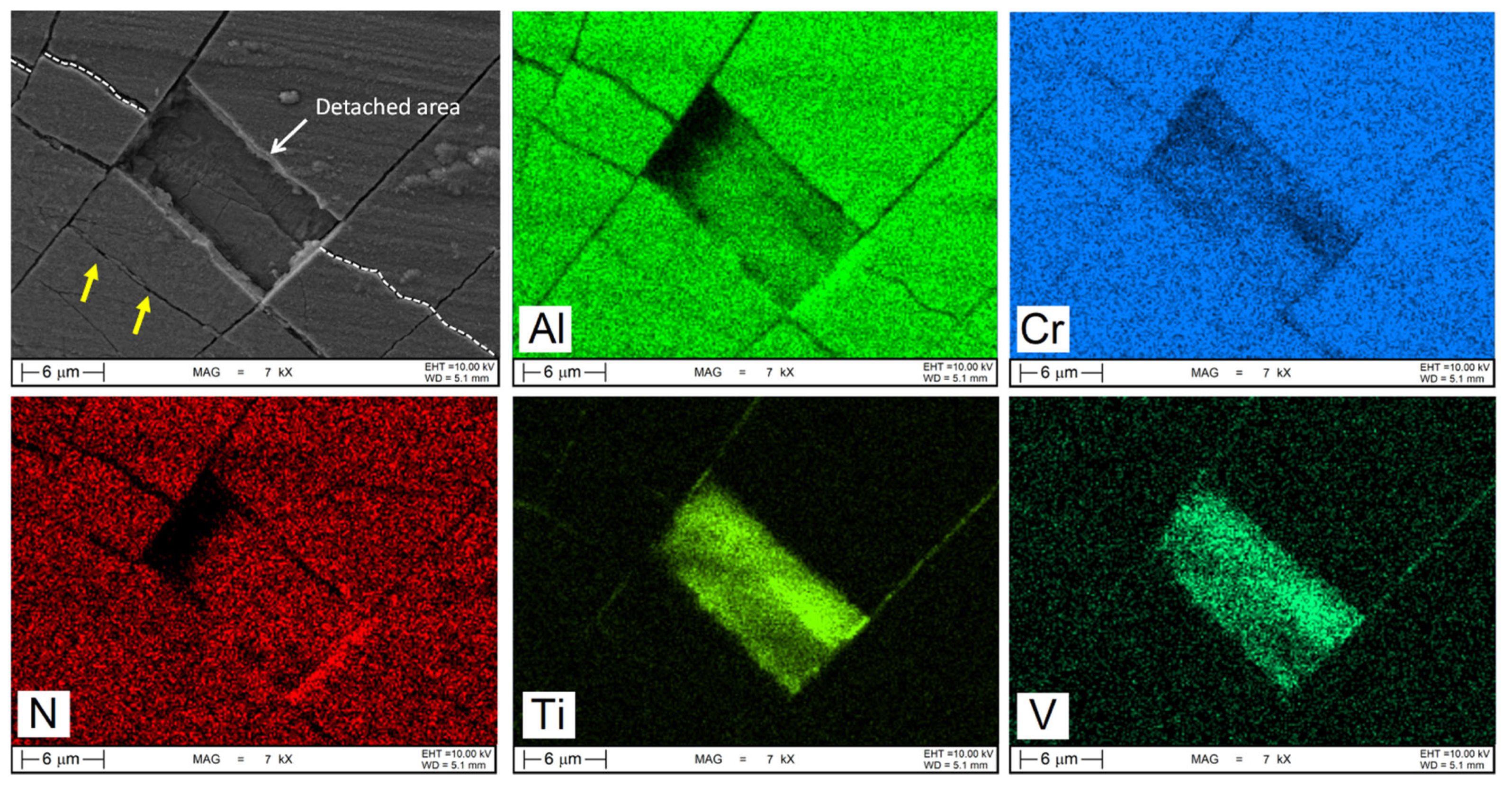 Metals 15 00994 g013