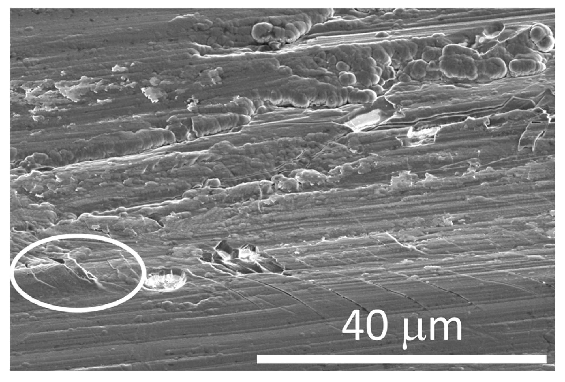 Metals 15 00994 g017