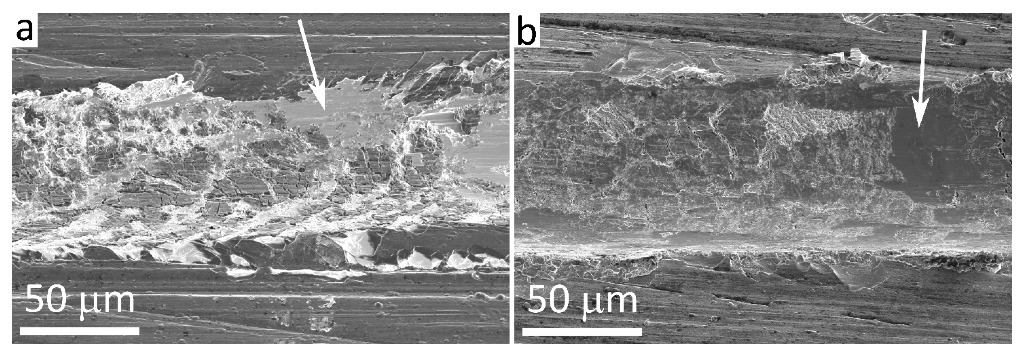 Metals 15 00994 g019