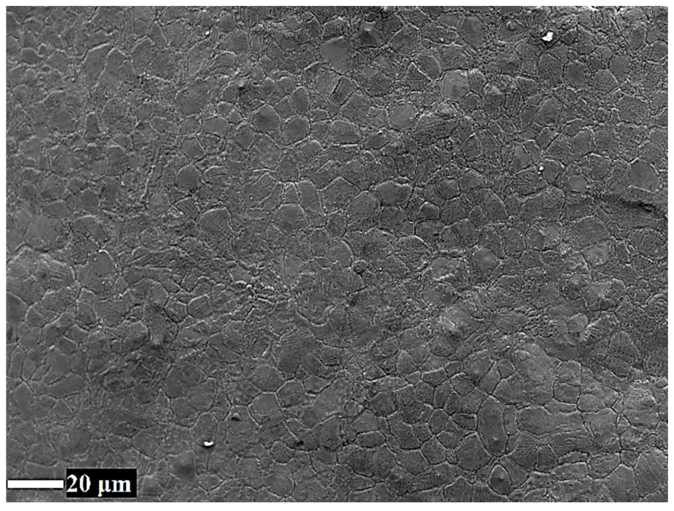 Metals 15 00996 g001