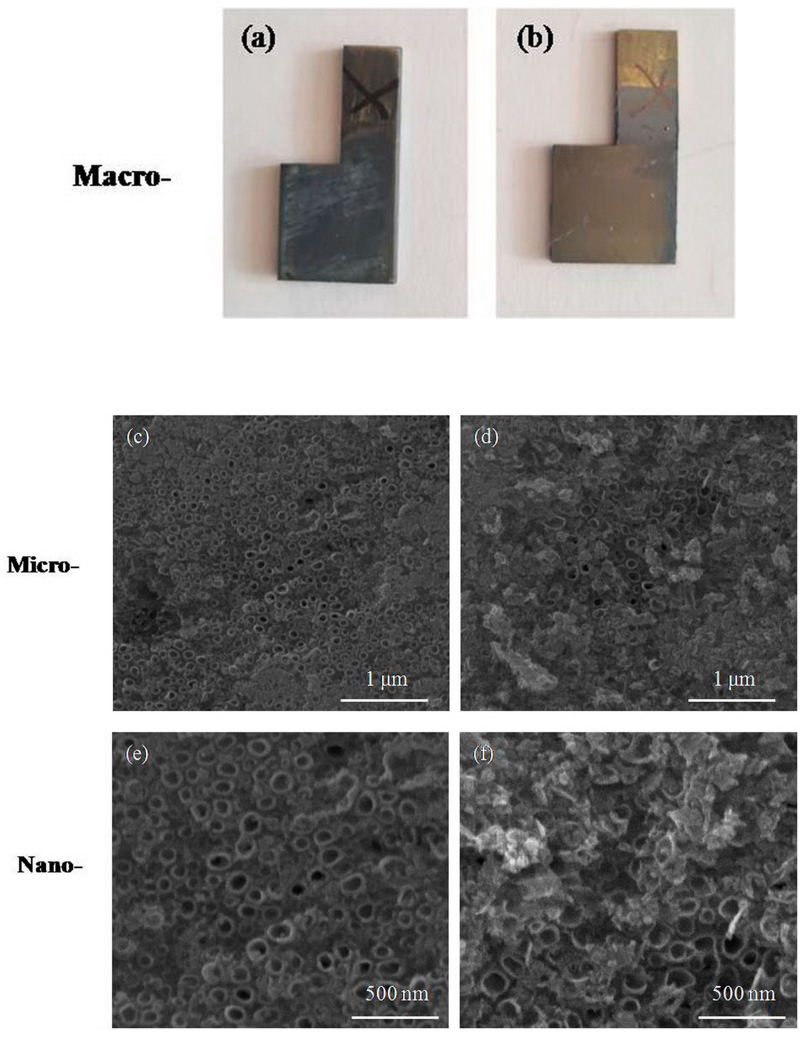 Metals 15 00997 g003