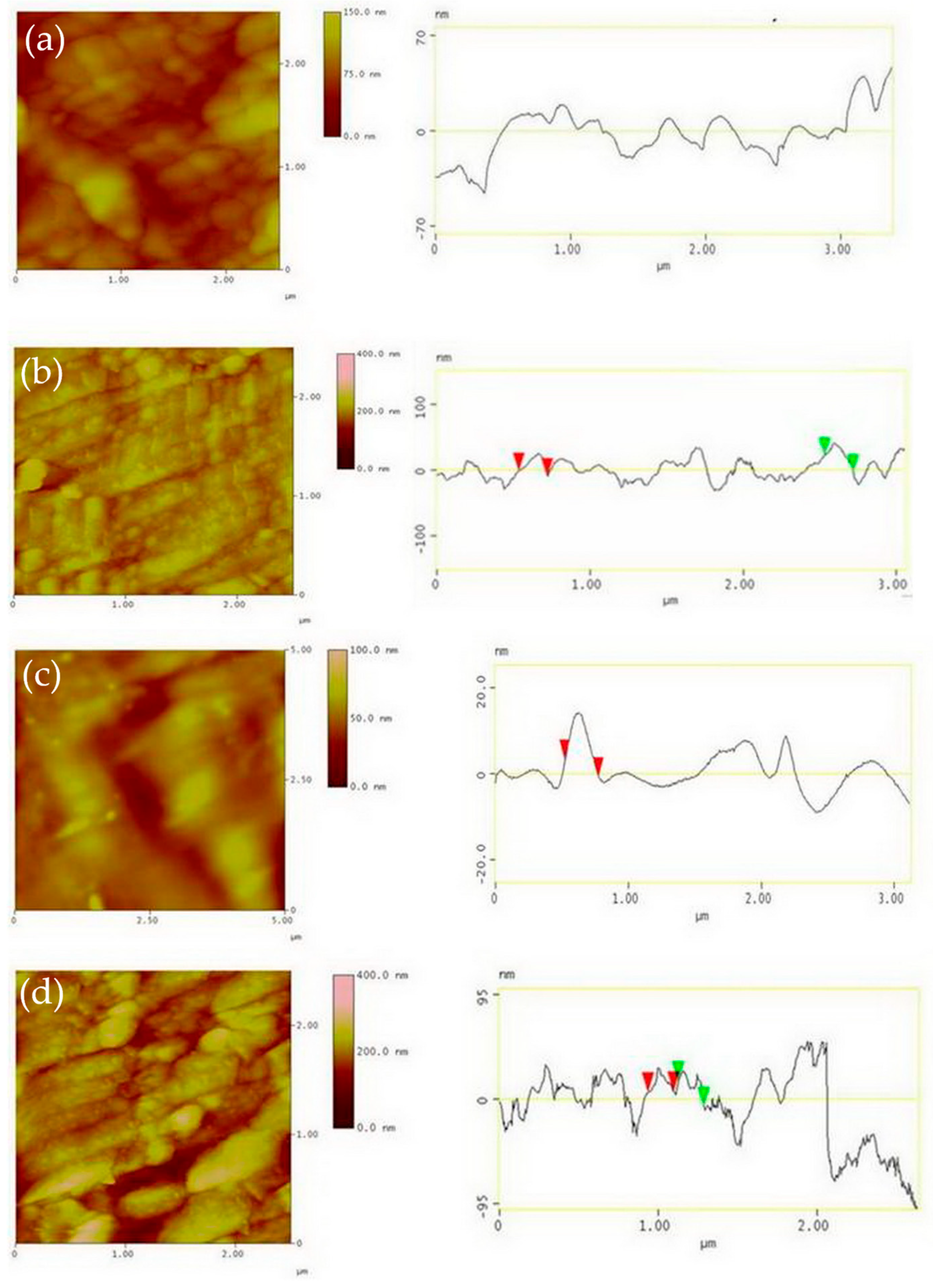 Metals 15 00997 g005