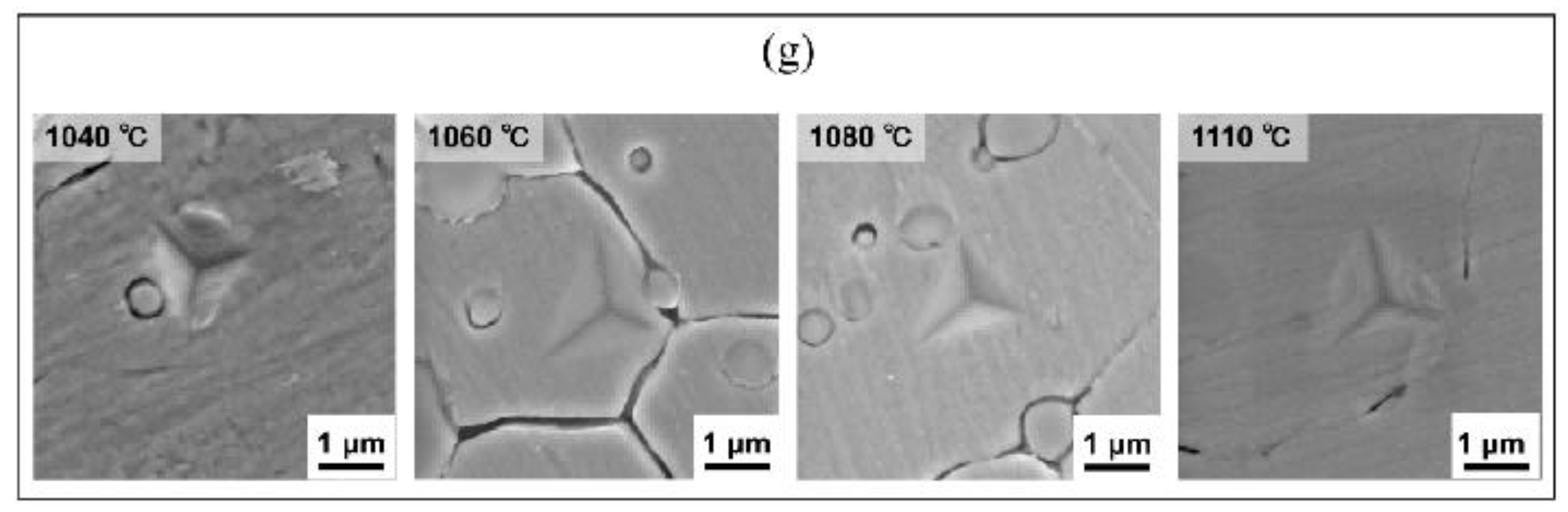 Metals 15 00999 g004b