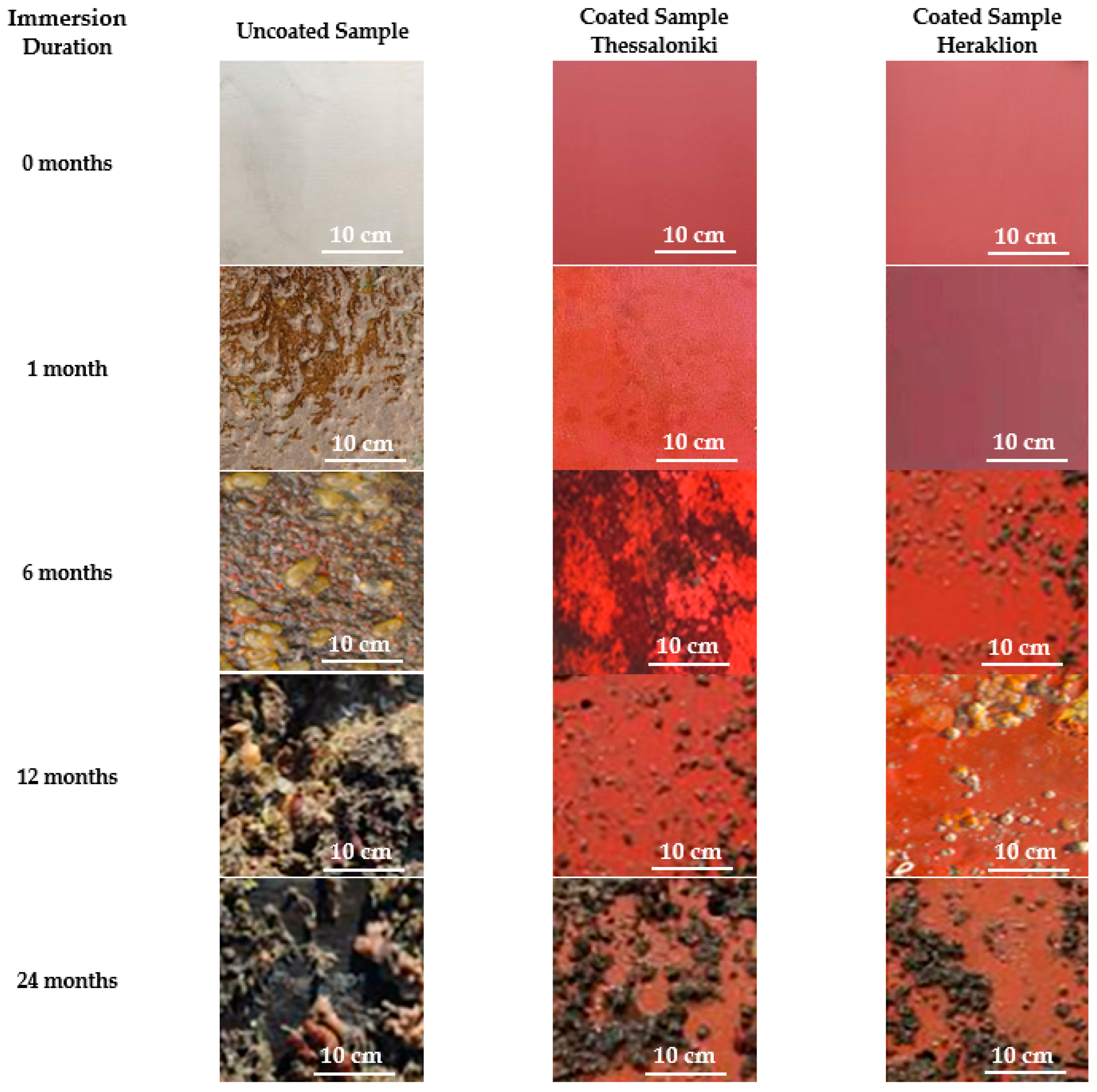 Metals 15 01000 g010