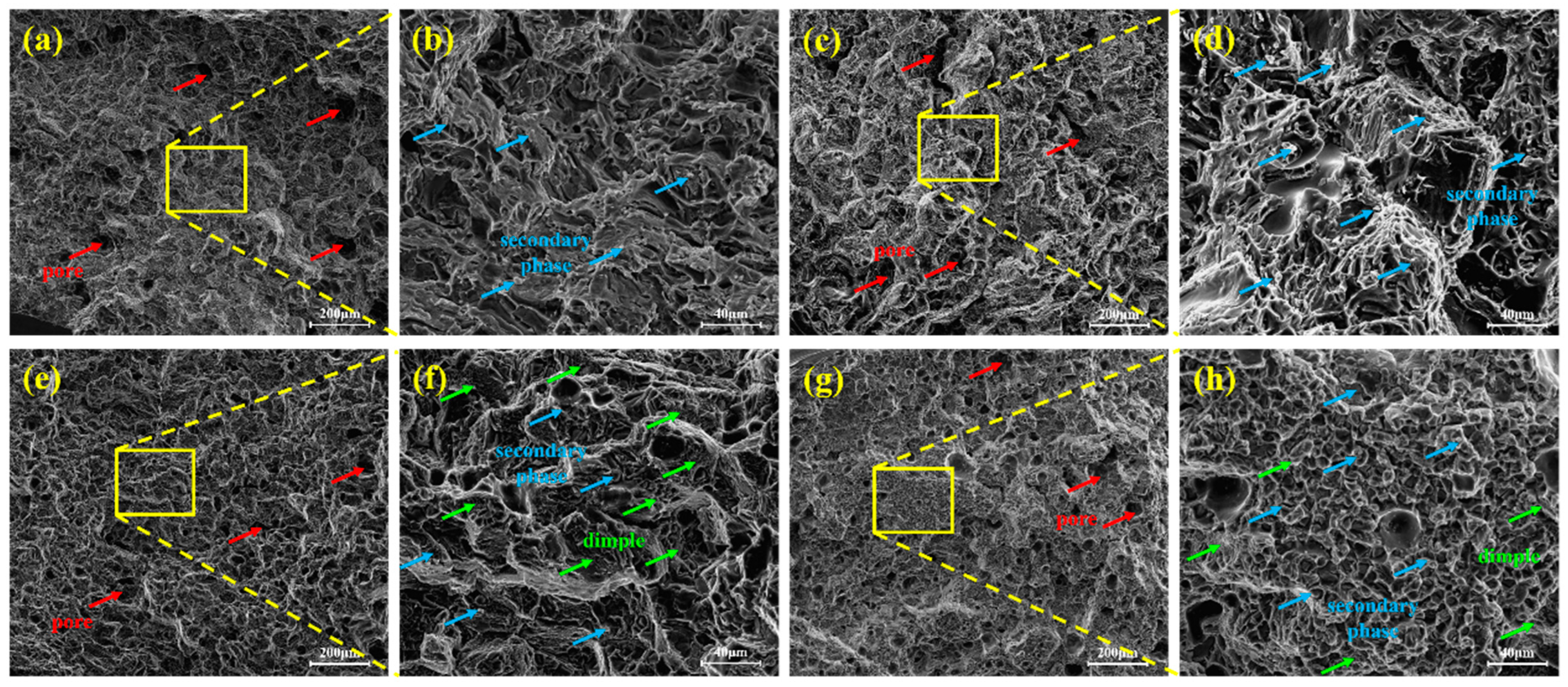 Metals 15 01002 g009