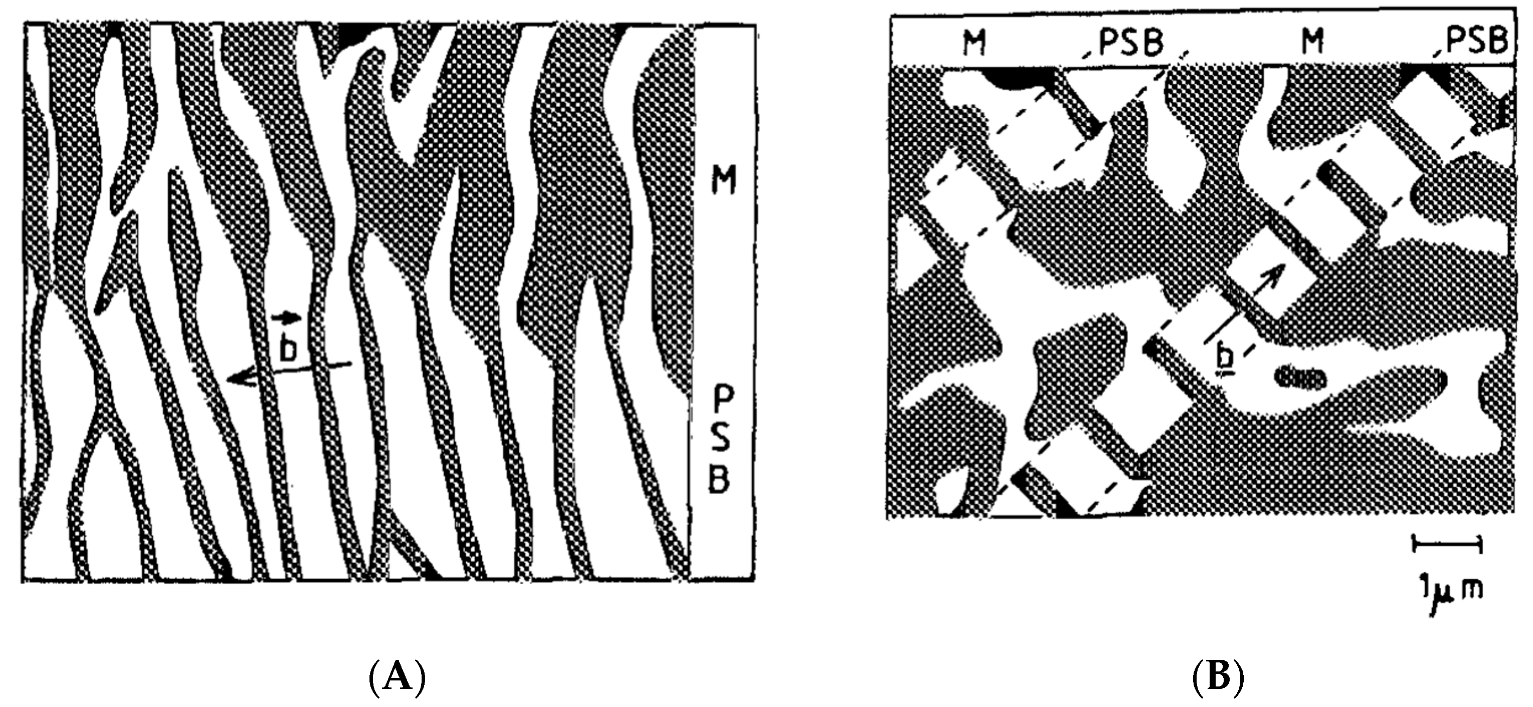 Metals 15 01006 g008