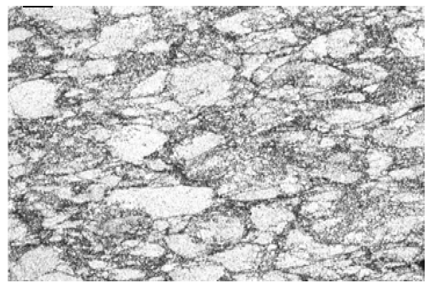 Metals 15 01006 g015