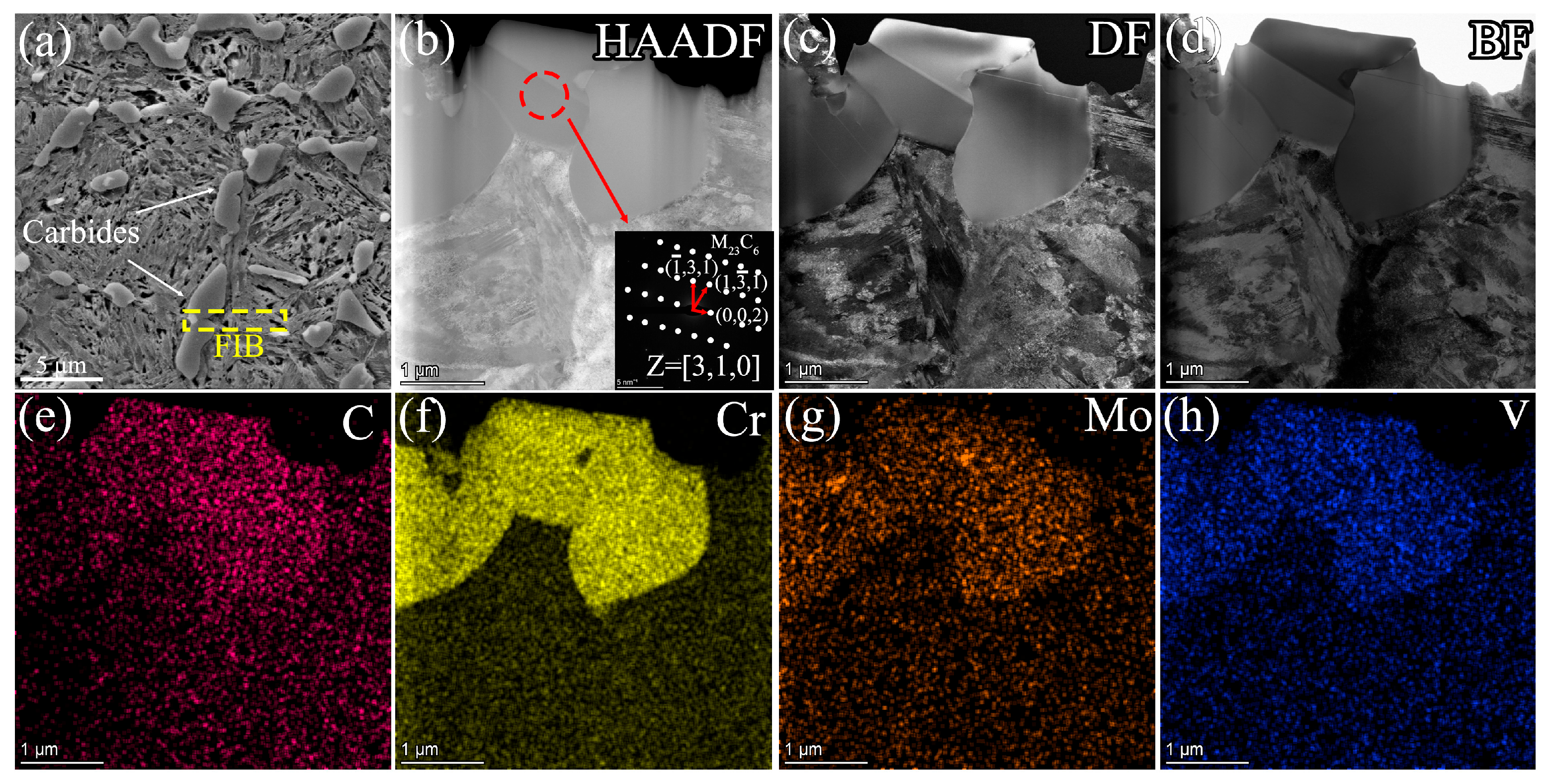 Metals 15 01013 g005