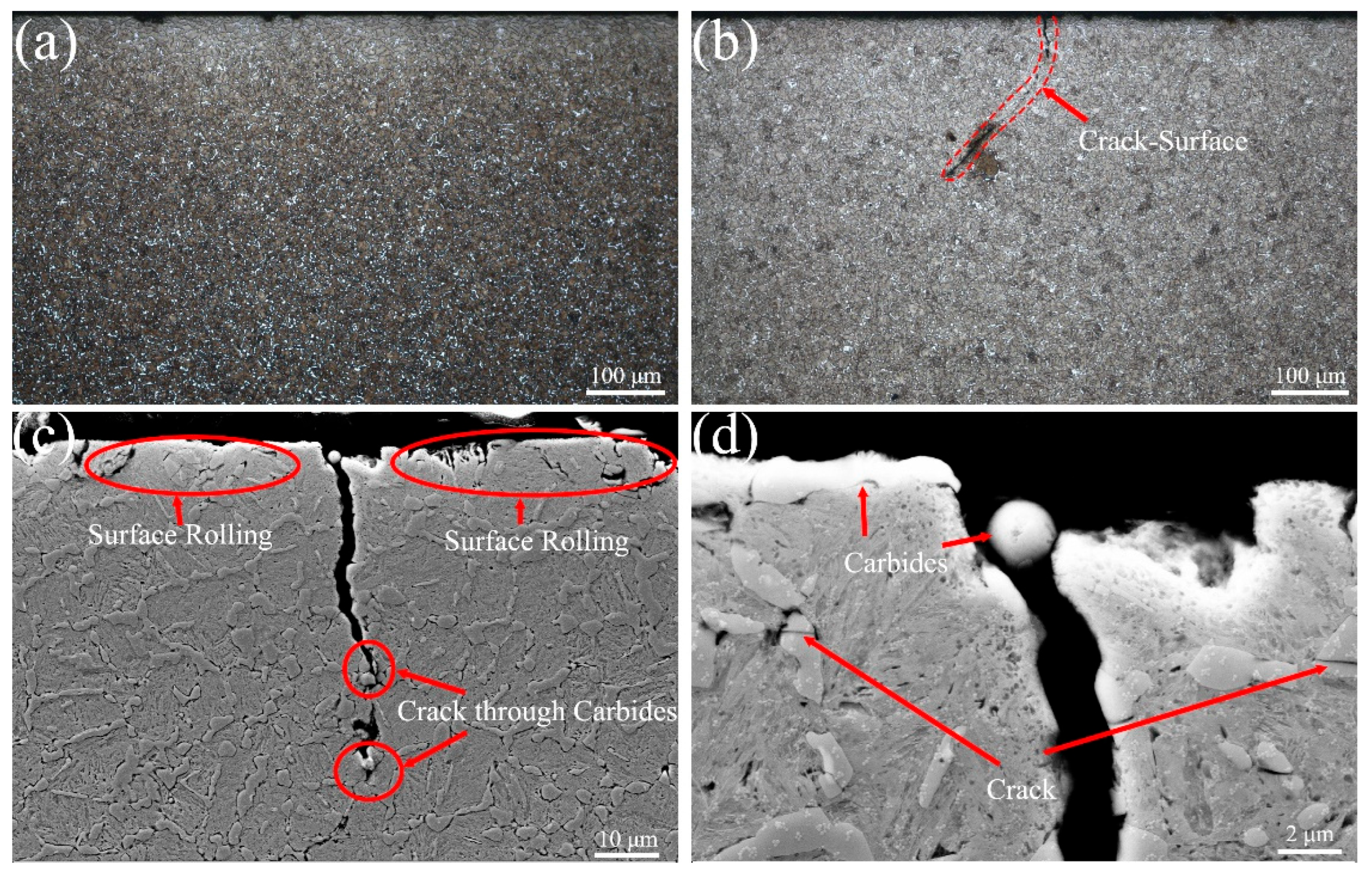 Metals 15 01013 g008