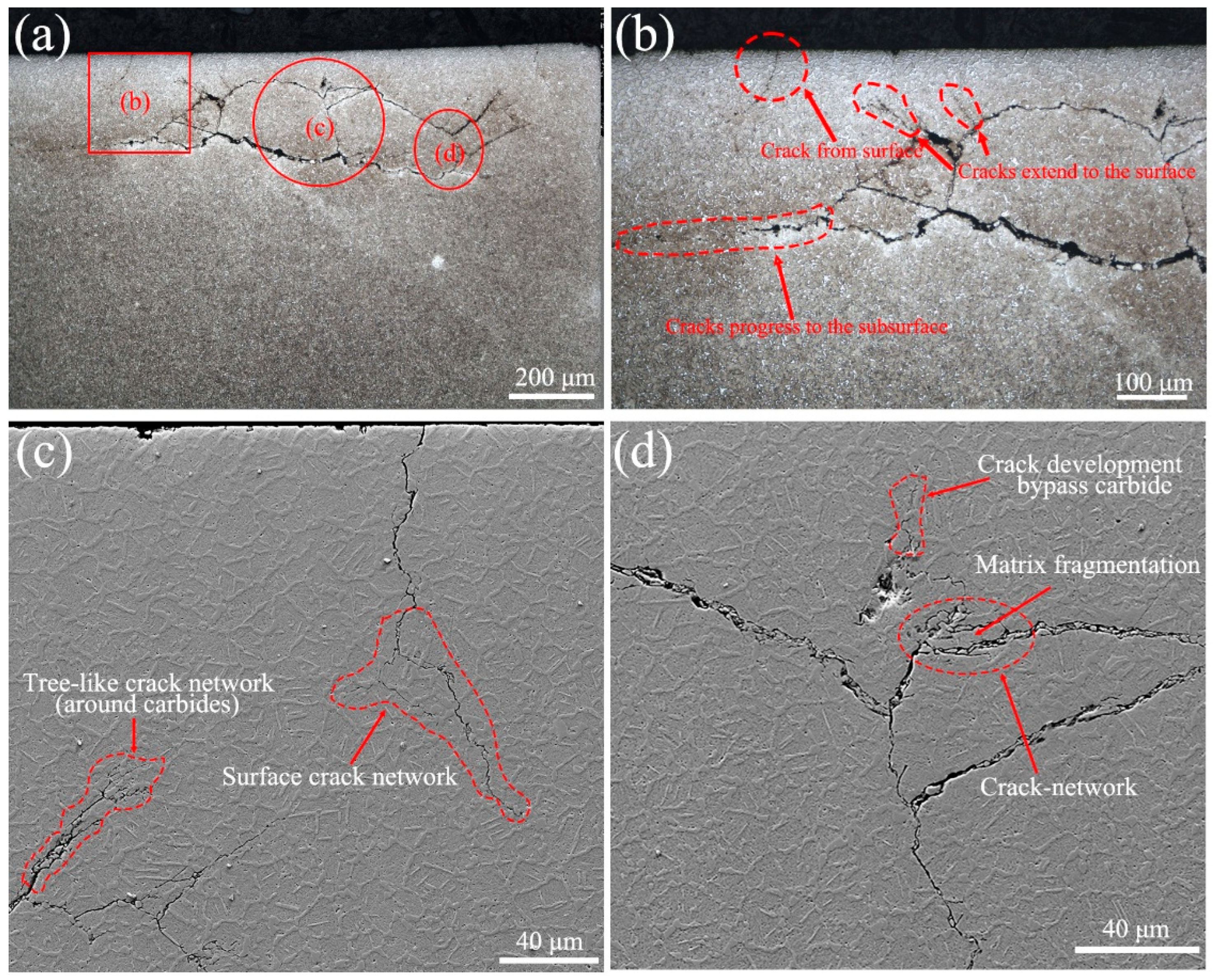 Metals 15 01013 g010