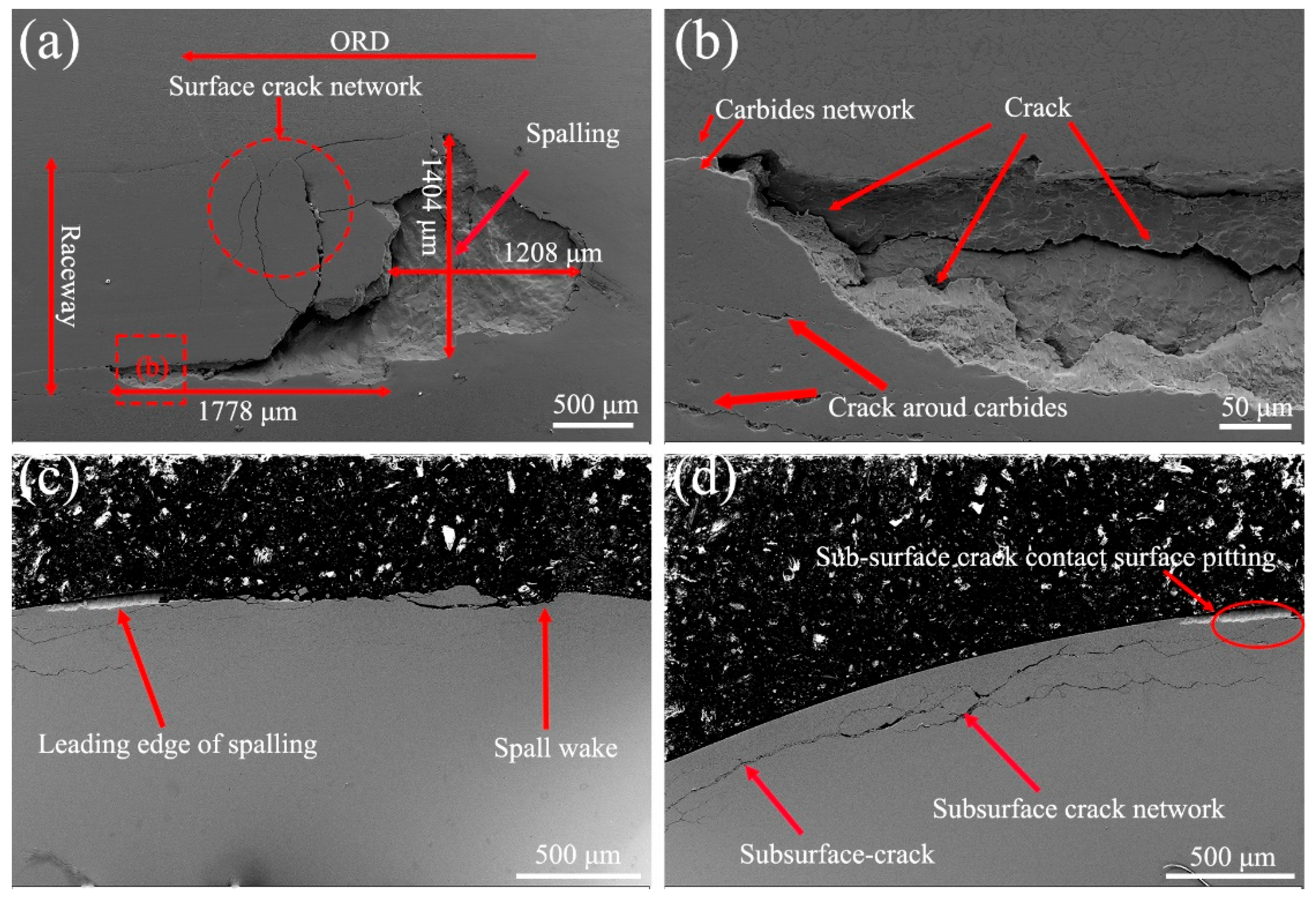 Metals 15 01013 g011