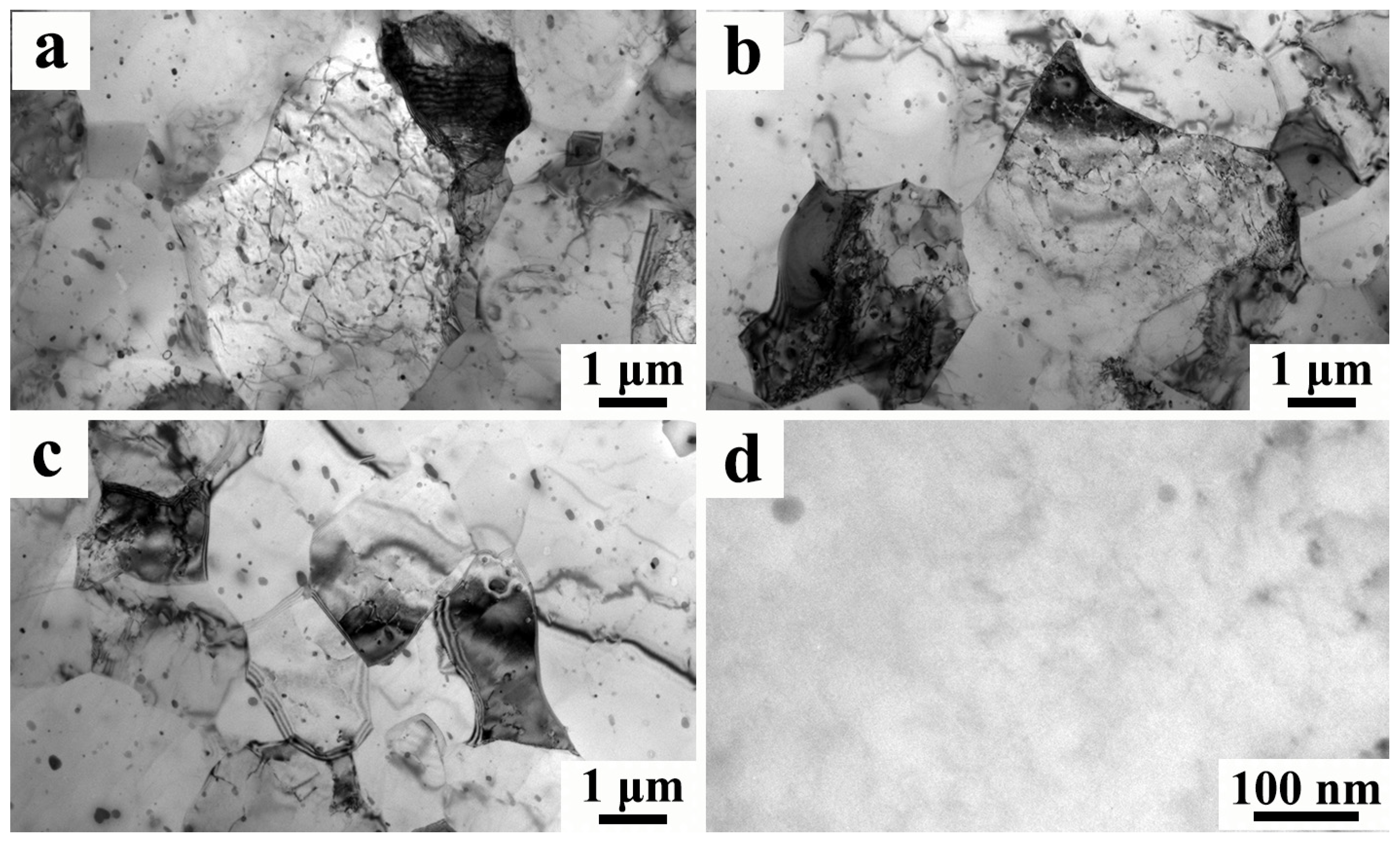 Metals 15 01017 g007