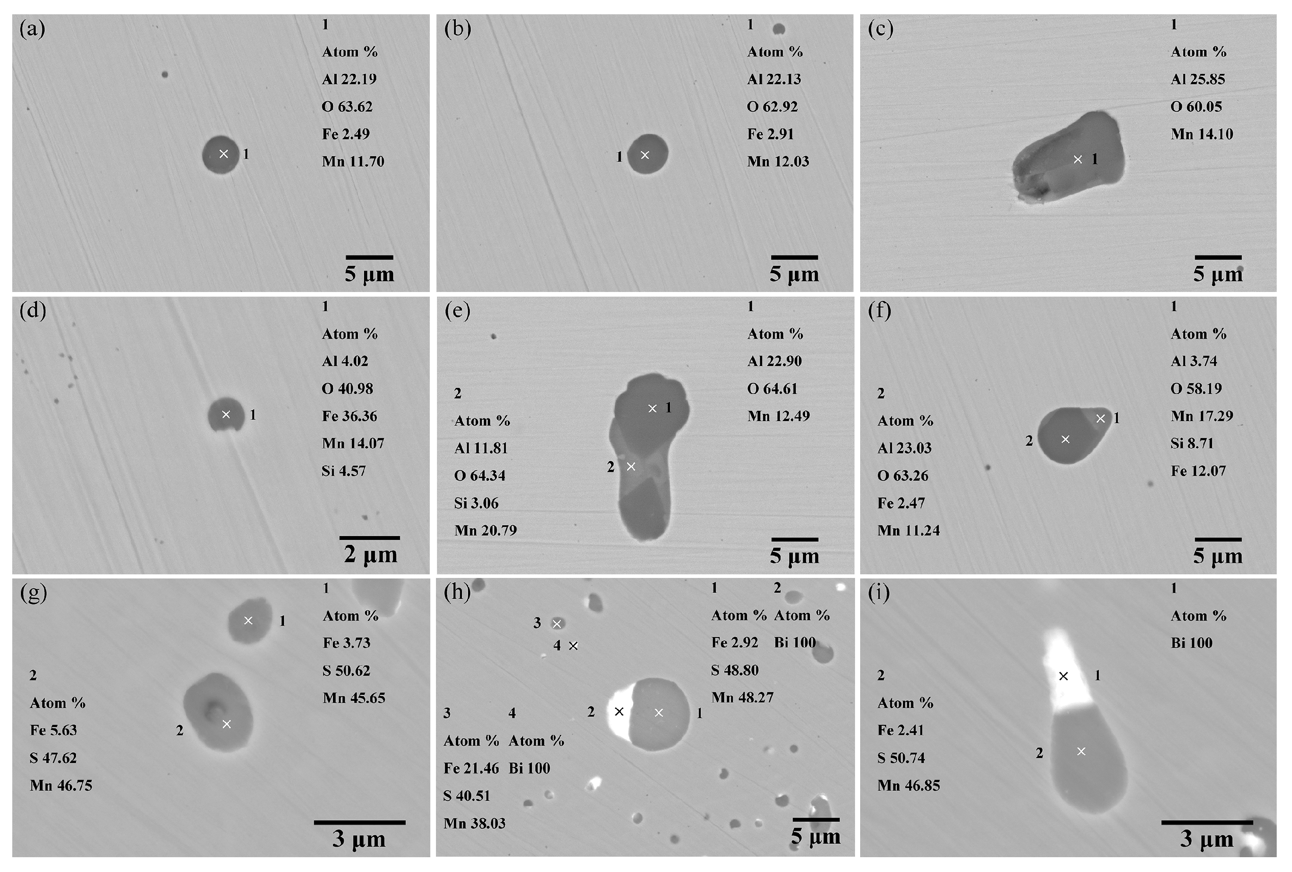 Metals 15 01018 g005