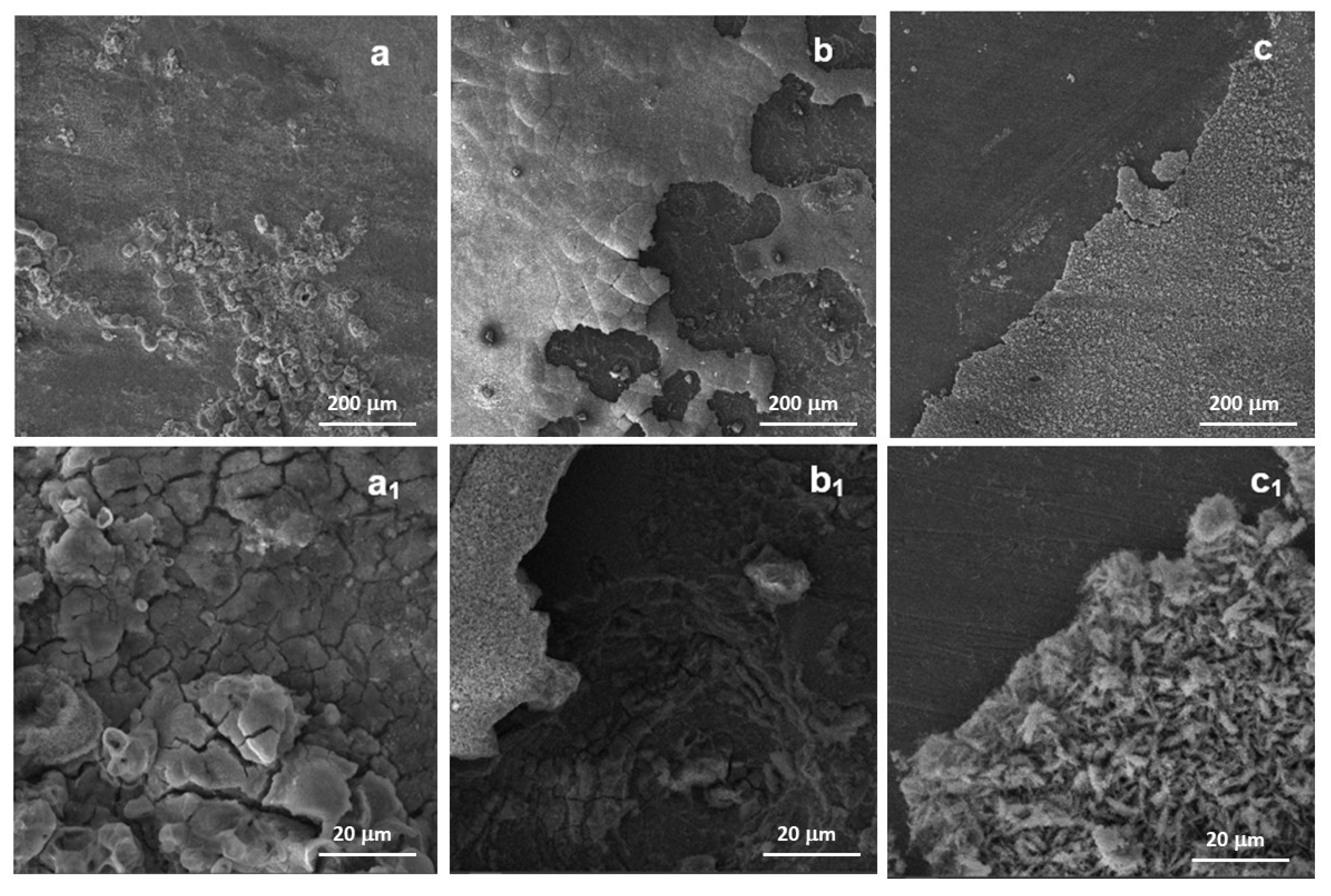 Metals 15 01020 g007