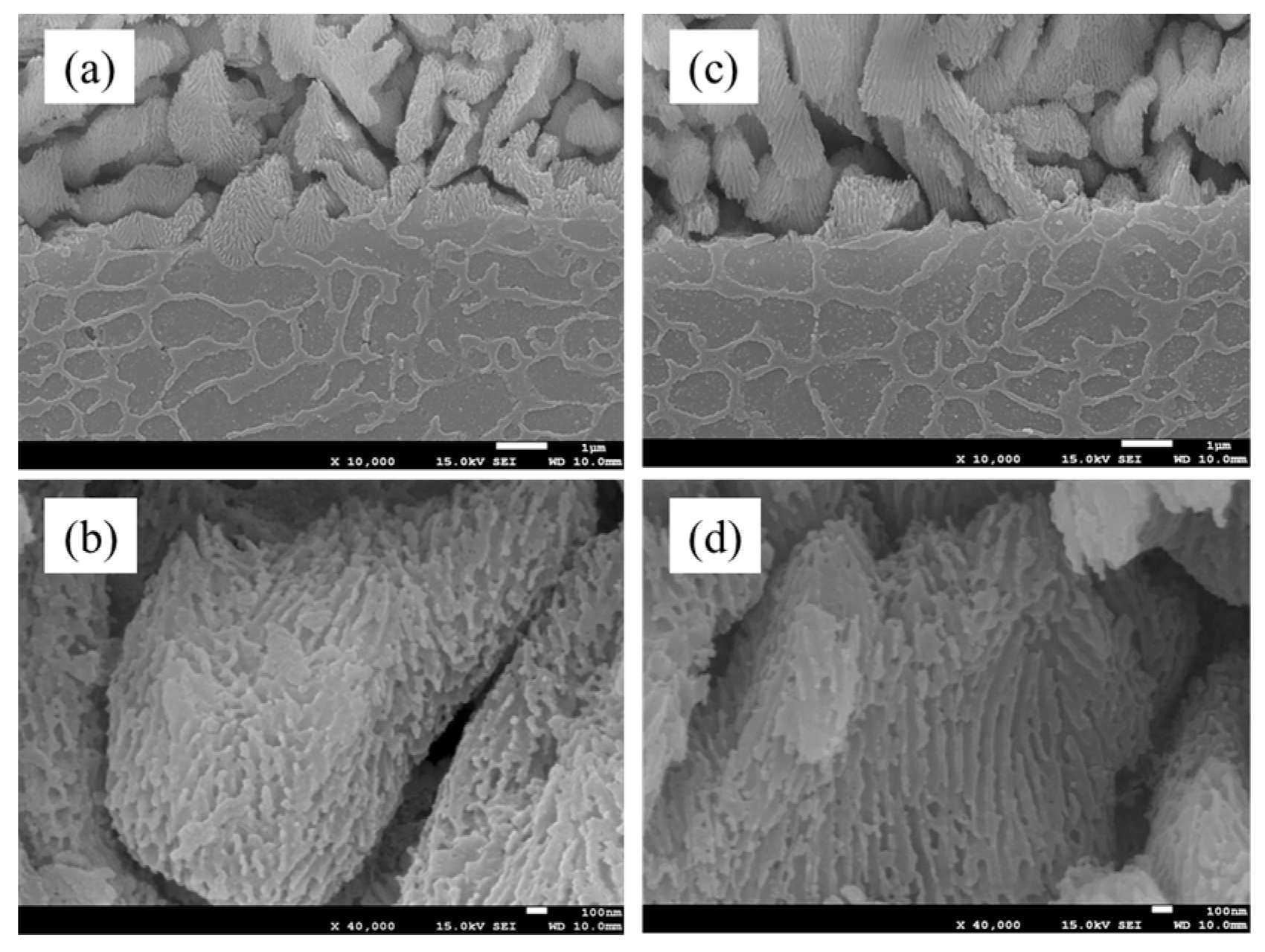 Metals 15 01022 g012