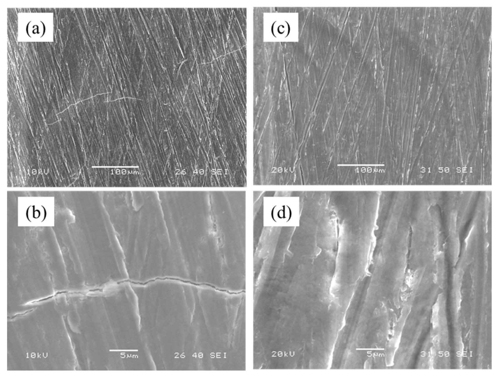 Metals 15 01022 g013