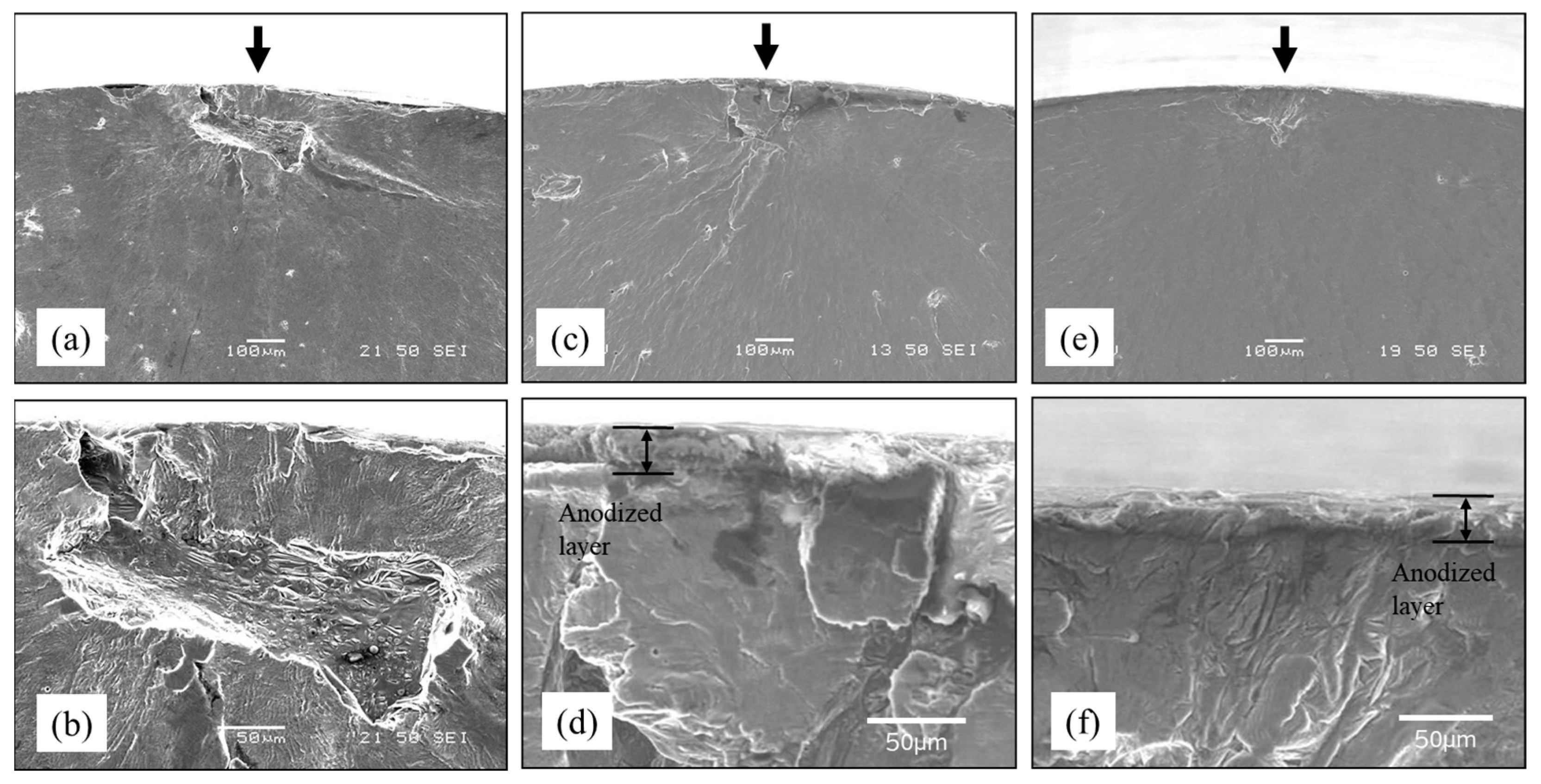 Metals 15 01022 g017