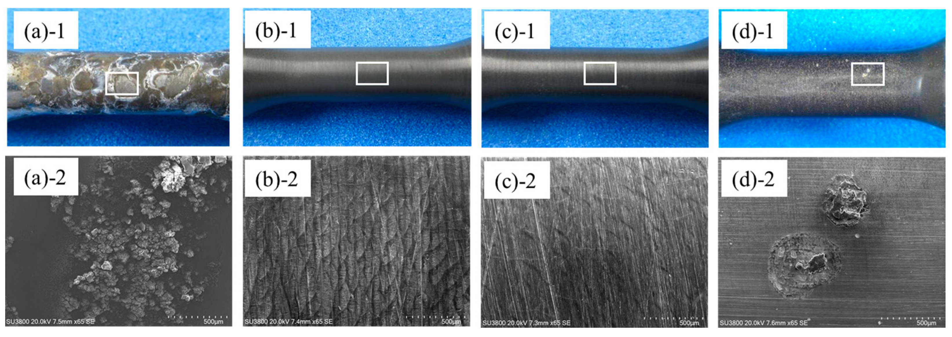 Metals 15 01022 g023