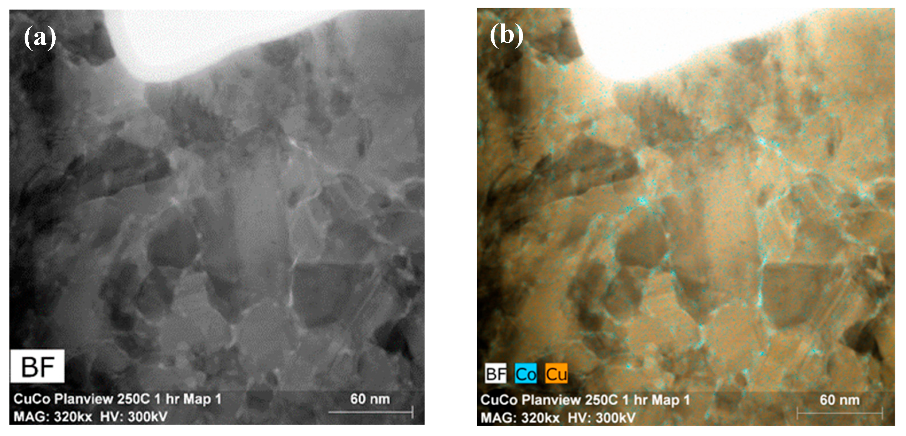 Metals 15 01023 g007